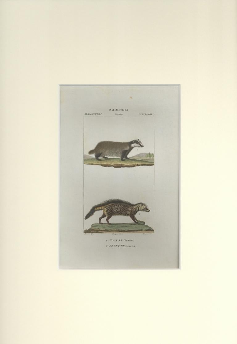 Tasso-Cevetta...-Radierung von Jean Francois Turpin - 1831 – Print von TURPIN, P[ierre Jean Francois]