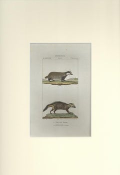 Tasso-Cevetta... Gravure de Jean Francois Turpin - 1831