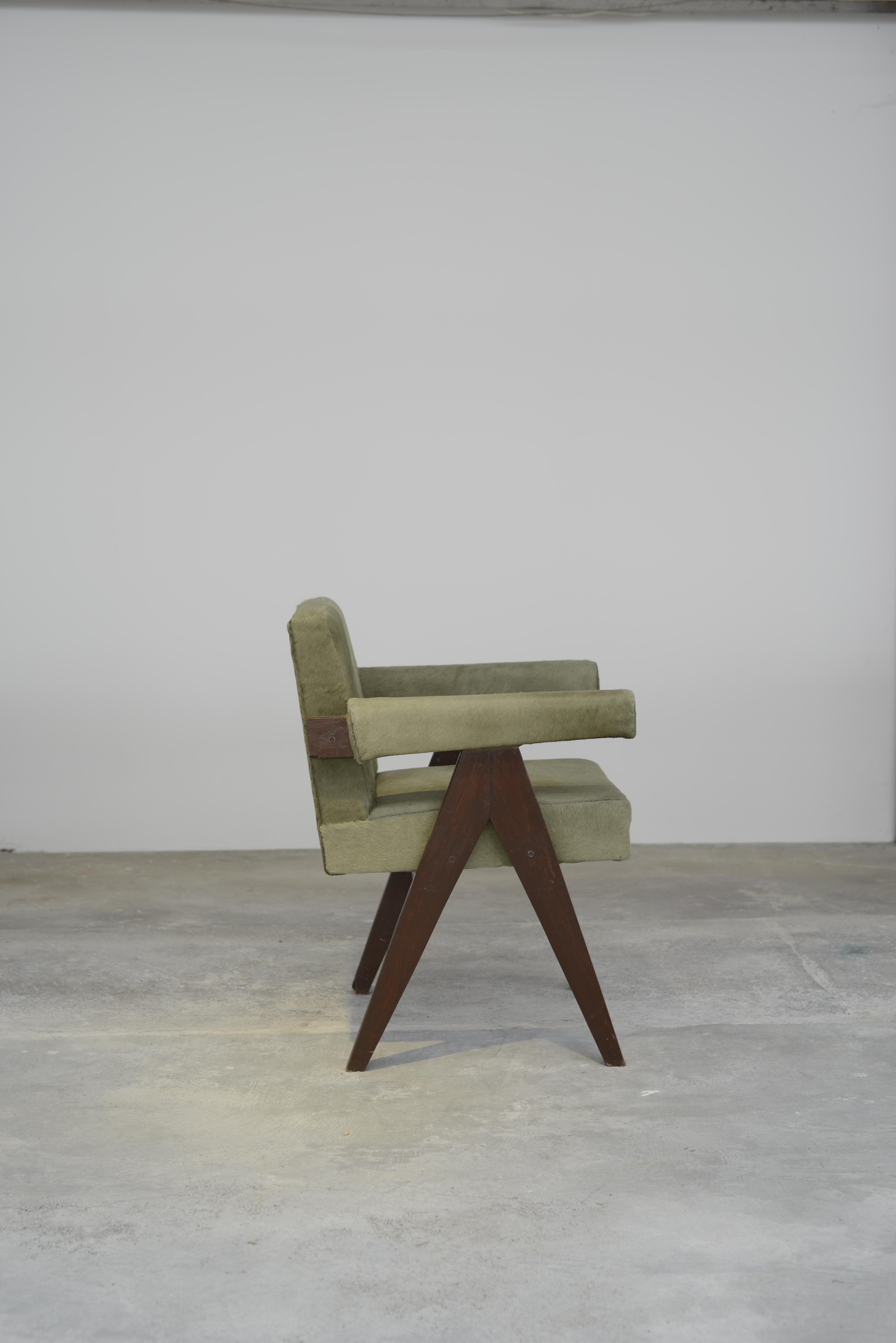 Mid-Century Modern Pierre Jeanneret Committee Chair, PJ-SI-30-C, Authentic