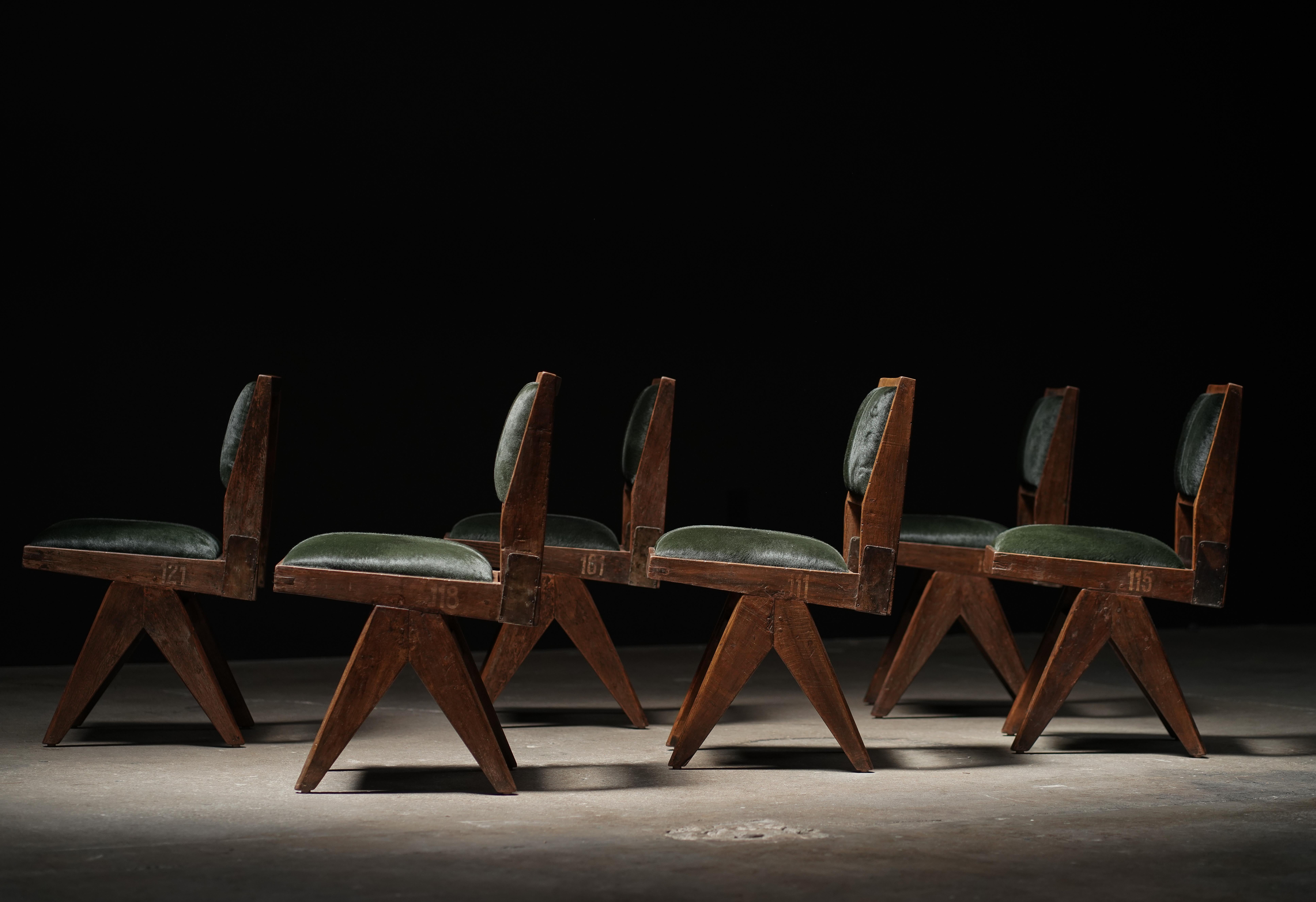 Pierre Jeanneret Dining Chair in Forest Hide, Set of 6 