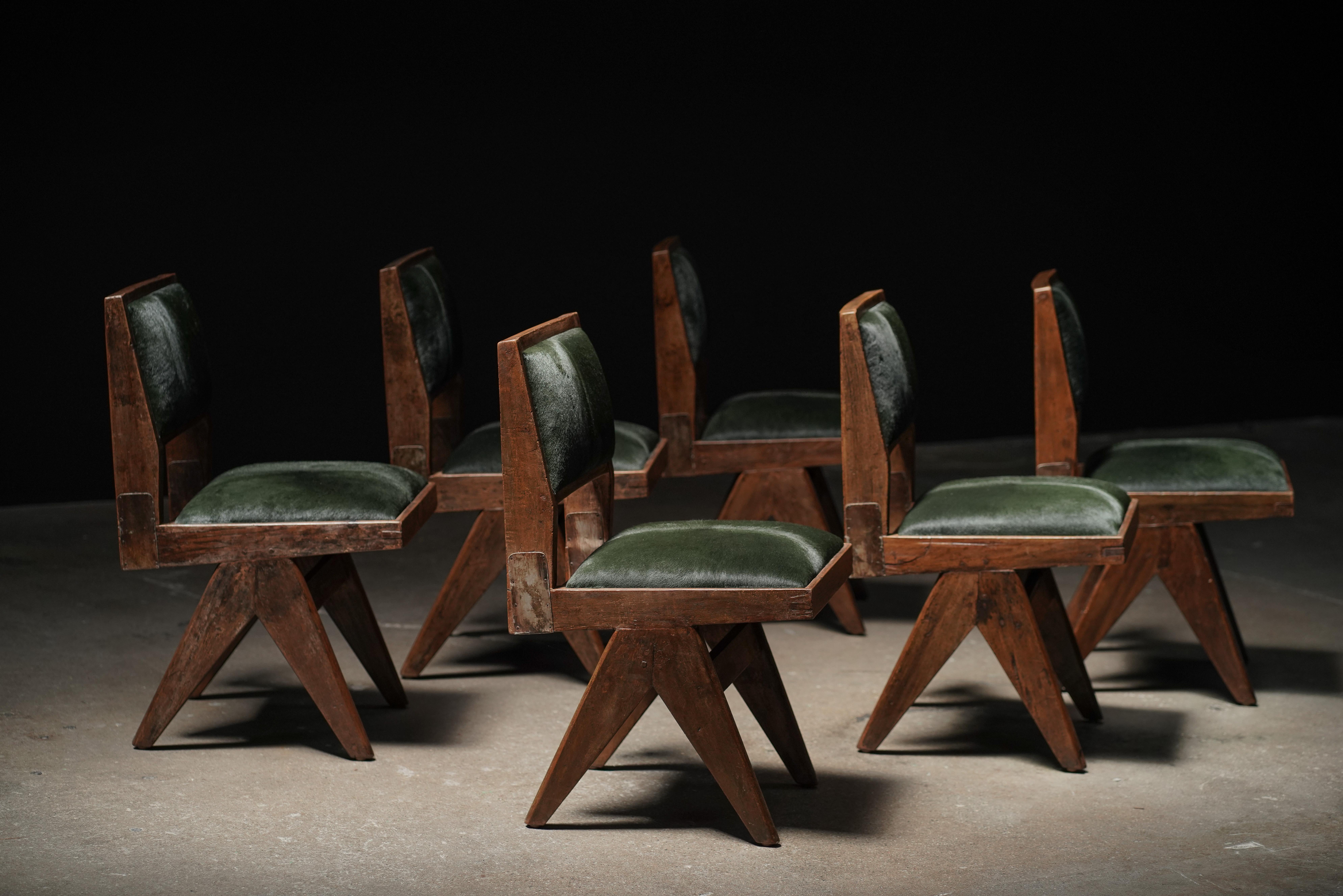 Indian Pierre Jeanneret Dining Chair in Forest Hide, Set of 6