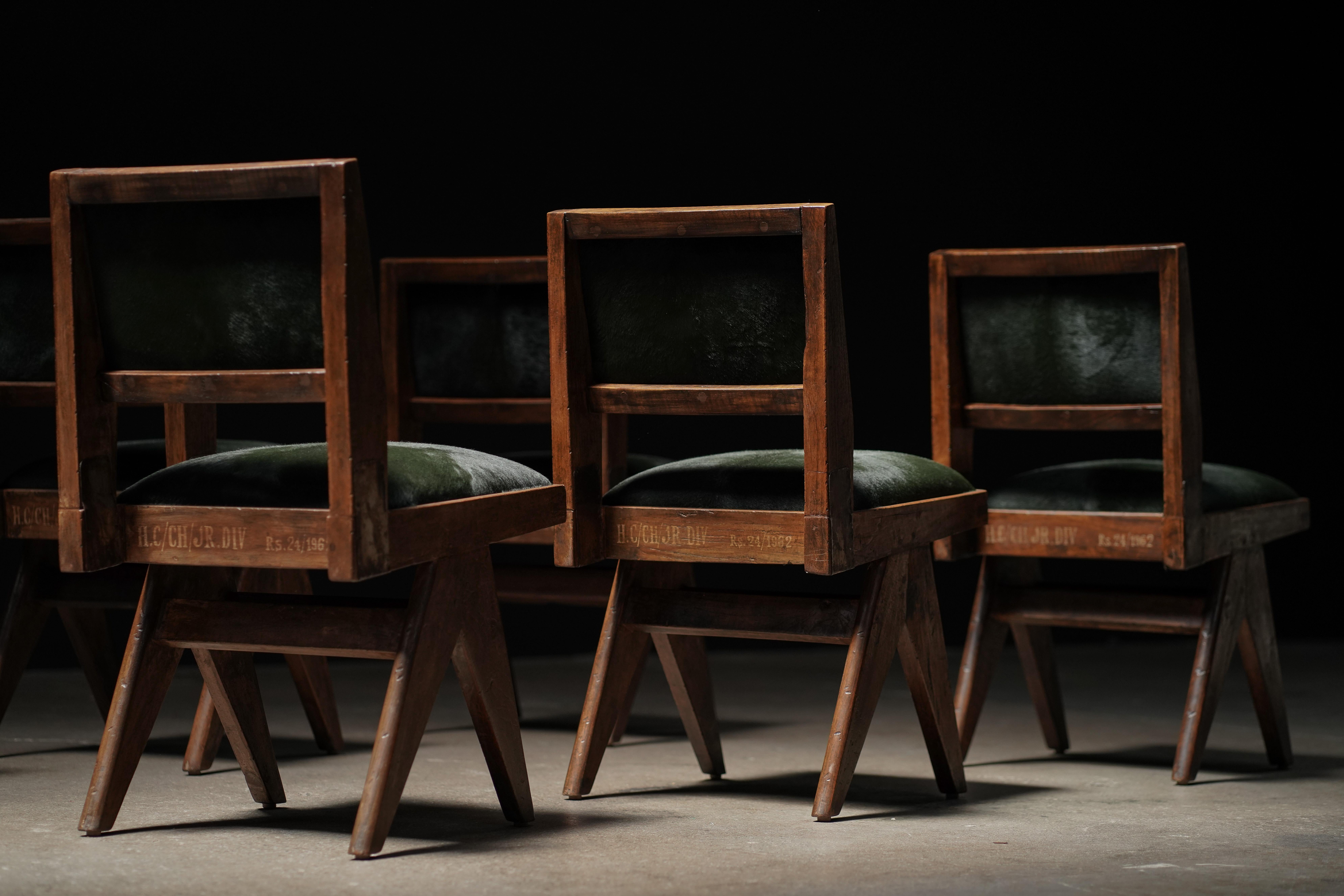 Pierre Jeanneret Dining Chair in Forest Hide, Set of 6 In Good Condition In Los Angeles, CA