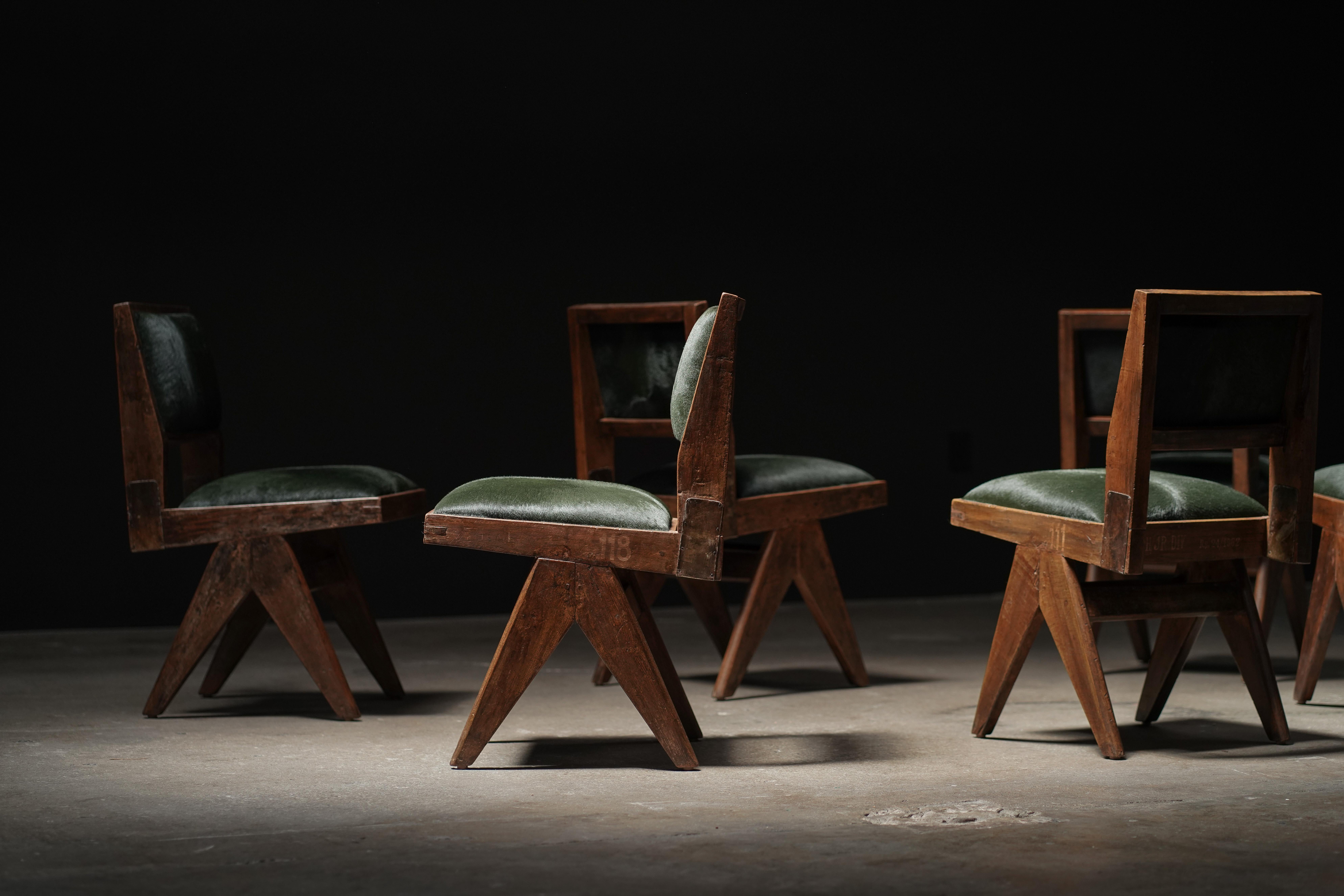 Mid-20th Century Pierre Jeanneret Dining Chair in Forest Hide, Set of 6