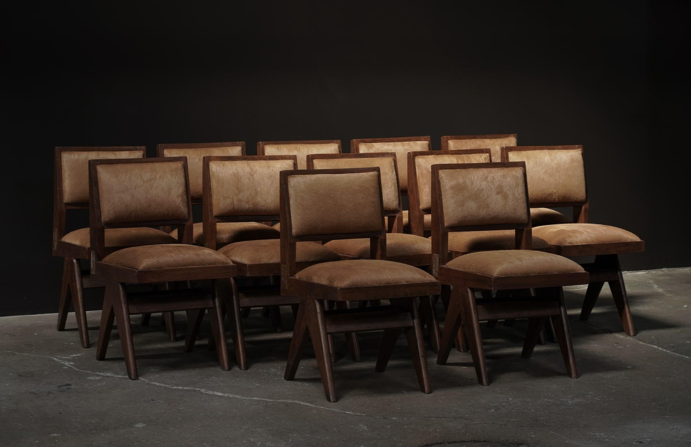 Esszimmerstühle von Pierre Jeanneret mit Metalldetails, 12er-Set aus Rindsleder in Whiskey-Kuhfell (Indisch) im Angebot