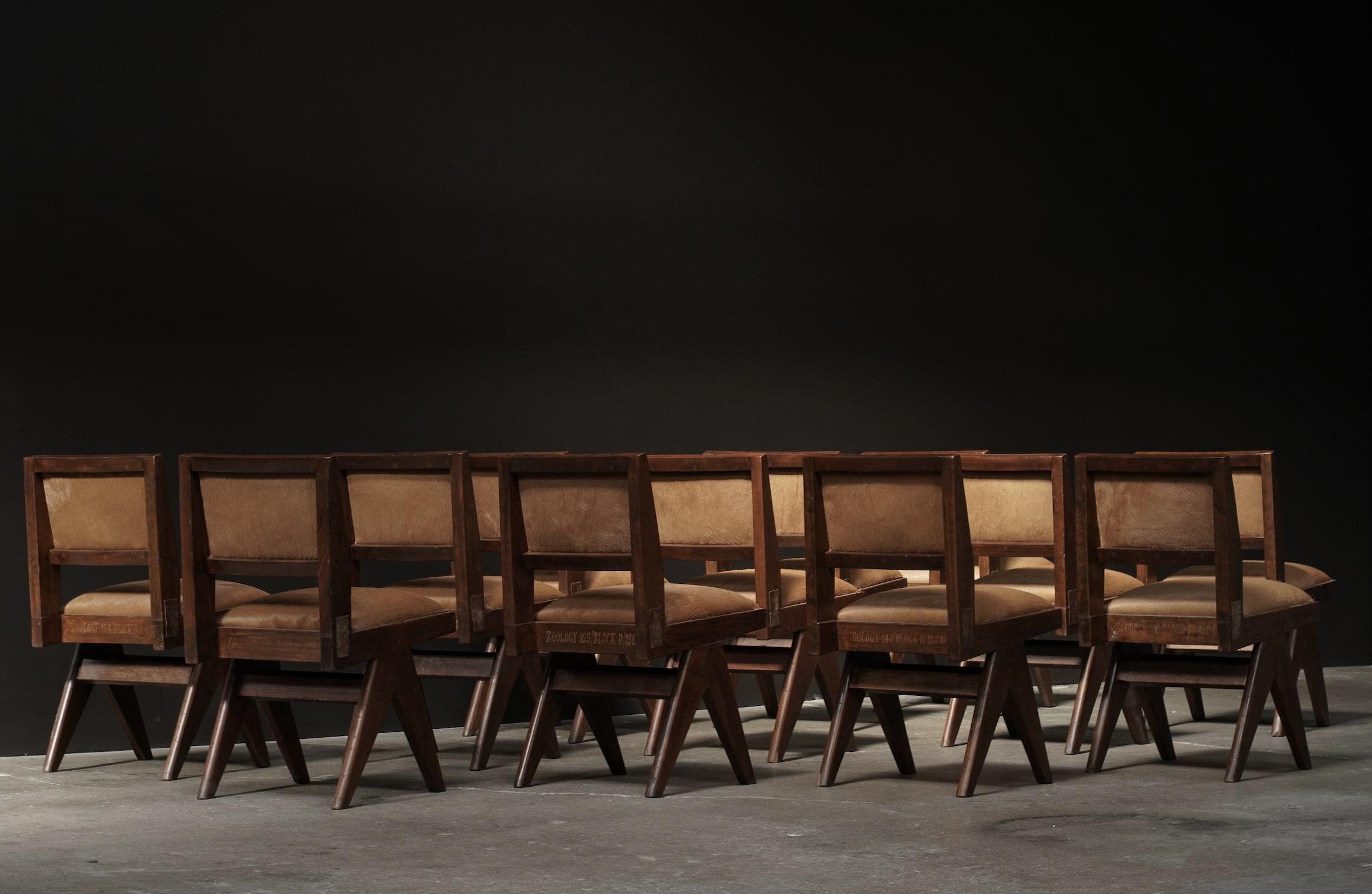 Esszimmerstühle von Pierre Jeanneret mit Metalldetails, 12er-Set aus Rindsleder in Whiskey-Kuhfell im Angebot 1