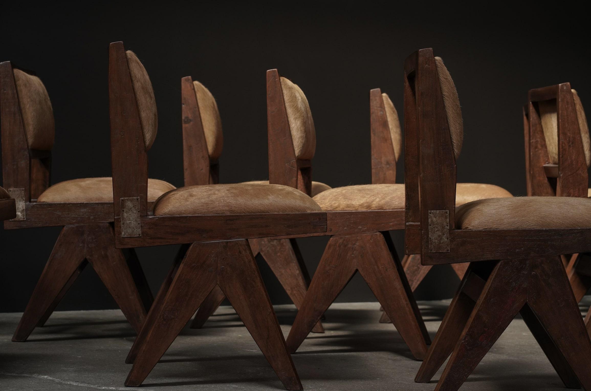 Esszimmerstühle von Pierre Jeanneret mit Metalldetails, 12er-Set aus Rindsleder in Whiskey-Kuhfell im Angebot 2