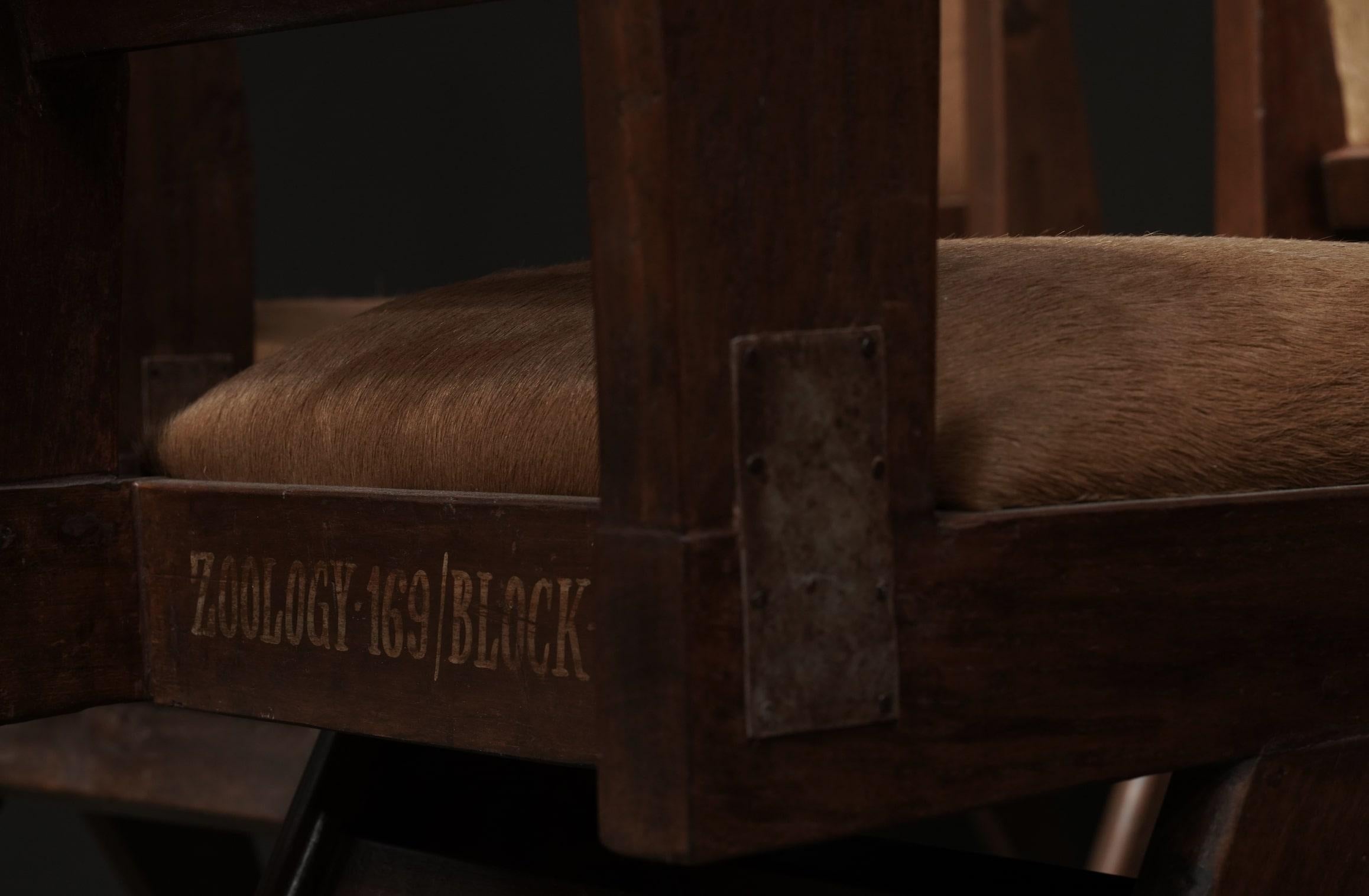 Esszimmerstühle von Pierre Jeanneret mit Metalldetails, 12er-Set aus Rindsleder in Whiskey-Kuhfell im Angebot 3