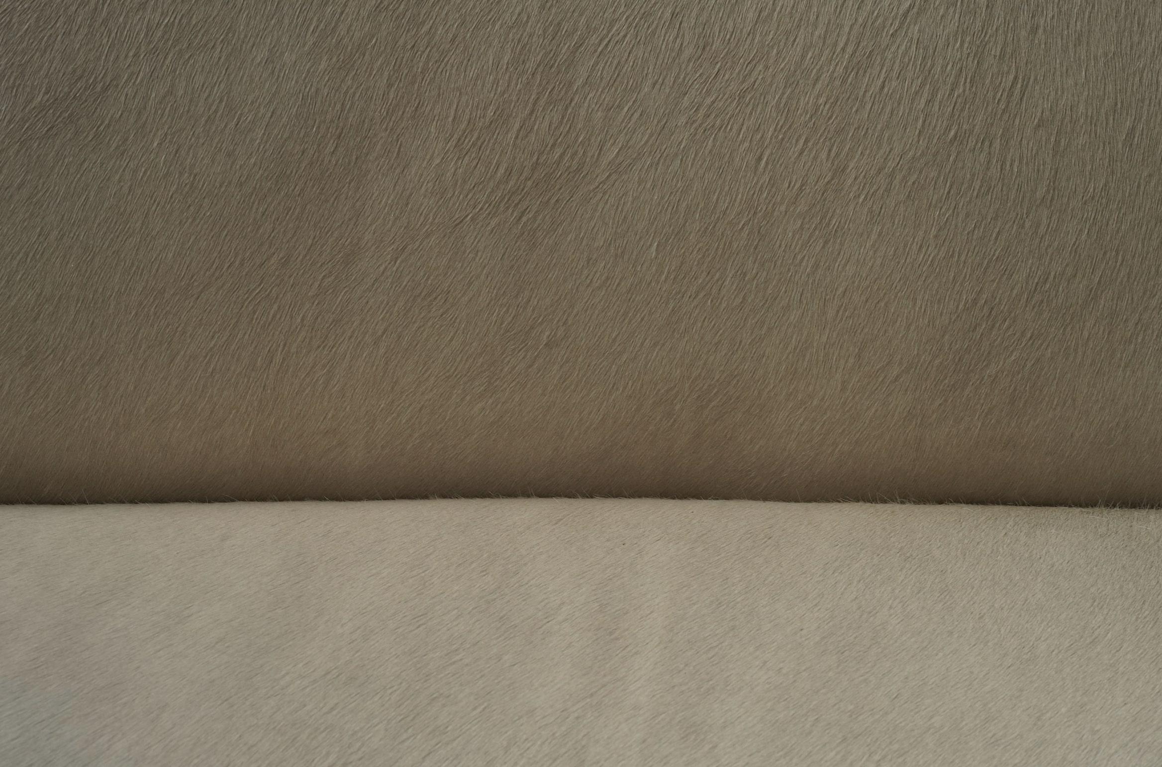 Pierre Jeanneret Kamin-Sofa aus ecrufarbenem Rindsleder (Mitte des 20. Jahrhunderts) im Angebot