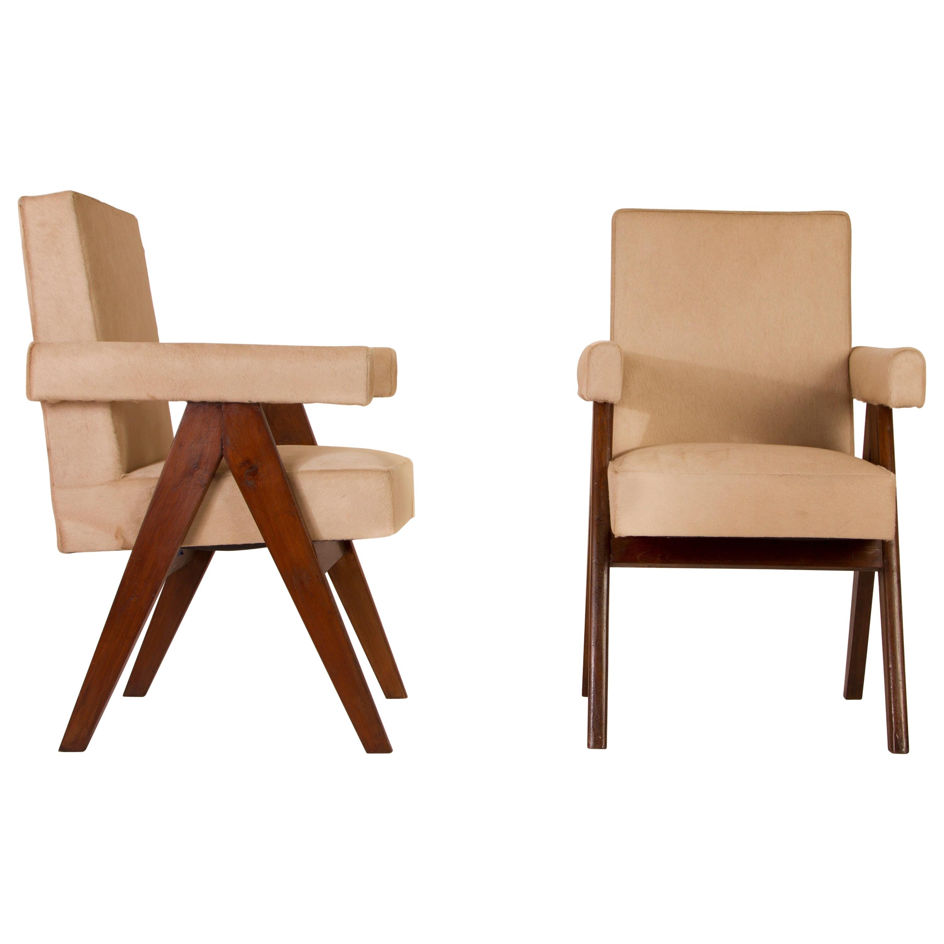 Pierre Jeanneret Pair of  Upholstered Committee Armchairs, Circa 1954