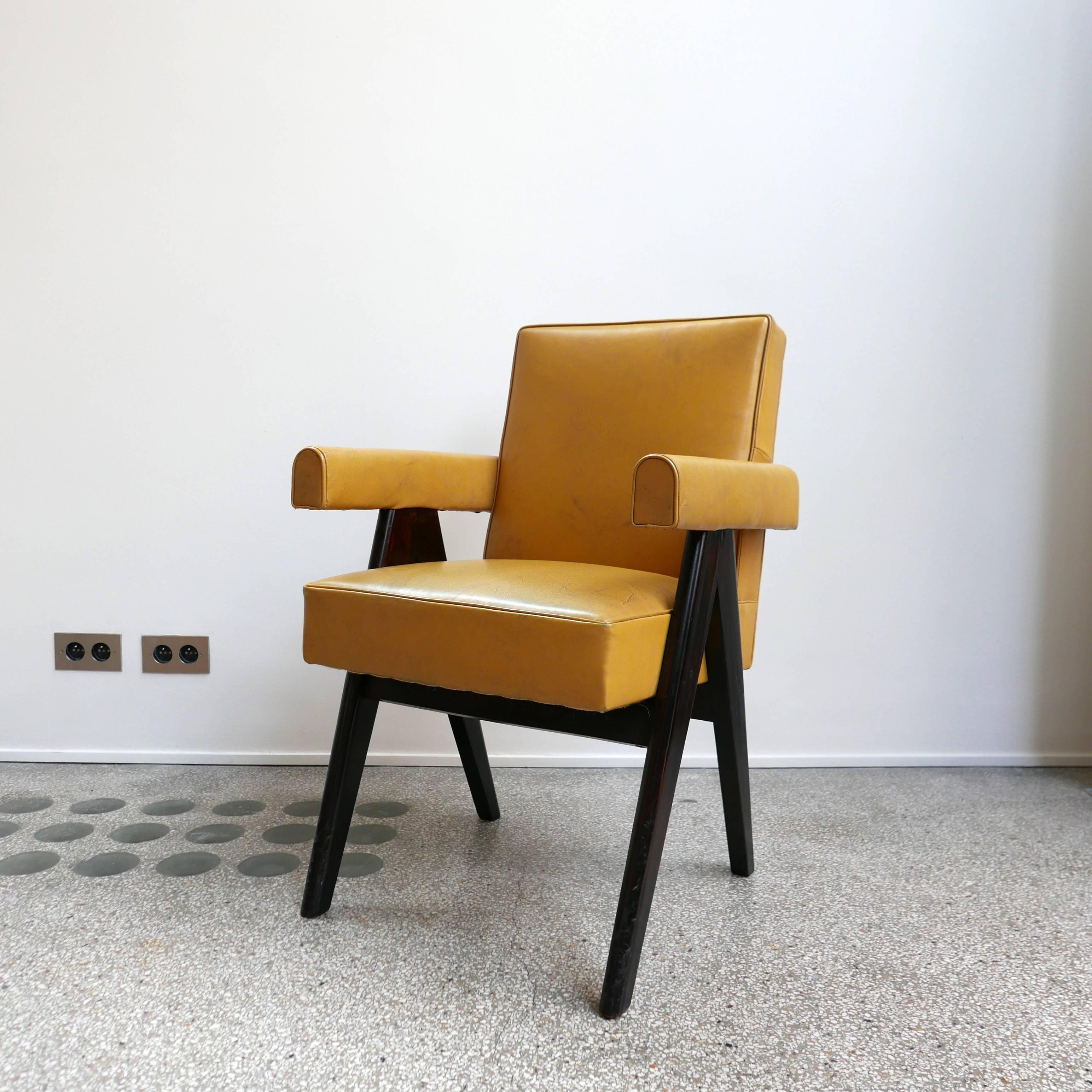 Leather Pierre Jeanneret, PJ-SI-30-A, Committee Armchair, Chandigarh, circa 1953