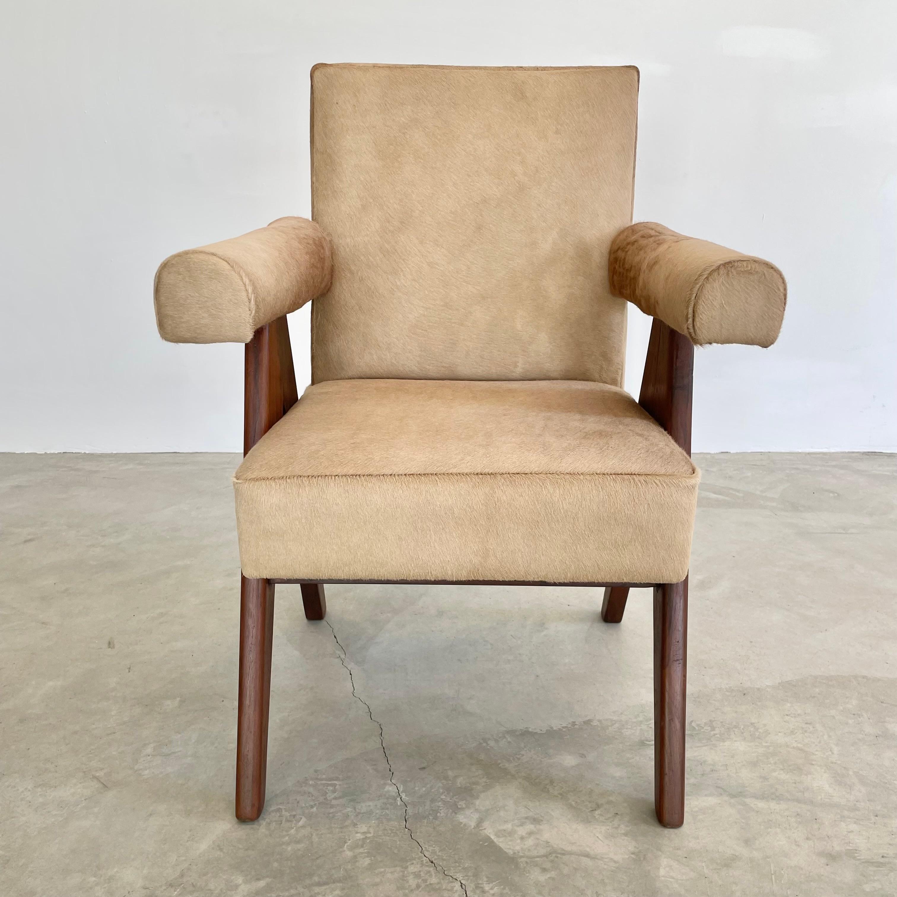 Pierre Jeanneret Senate Chair in Cowhide, 1950s Chandigargh For Sale 7