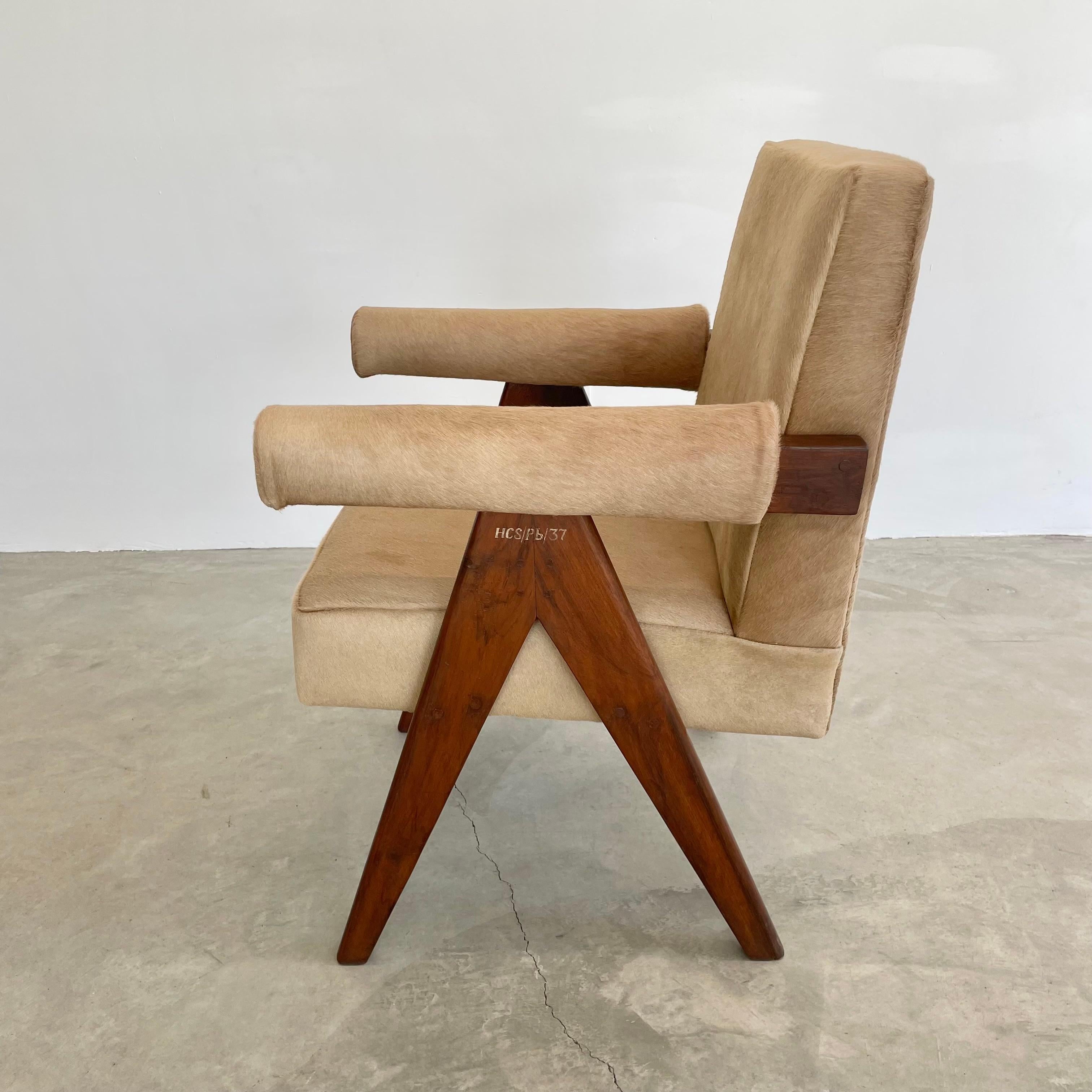 Chaise sénatoriale Pierre Jeanneret en peau de vache, années 1950 Chandigargh en vente 9