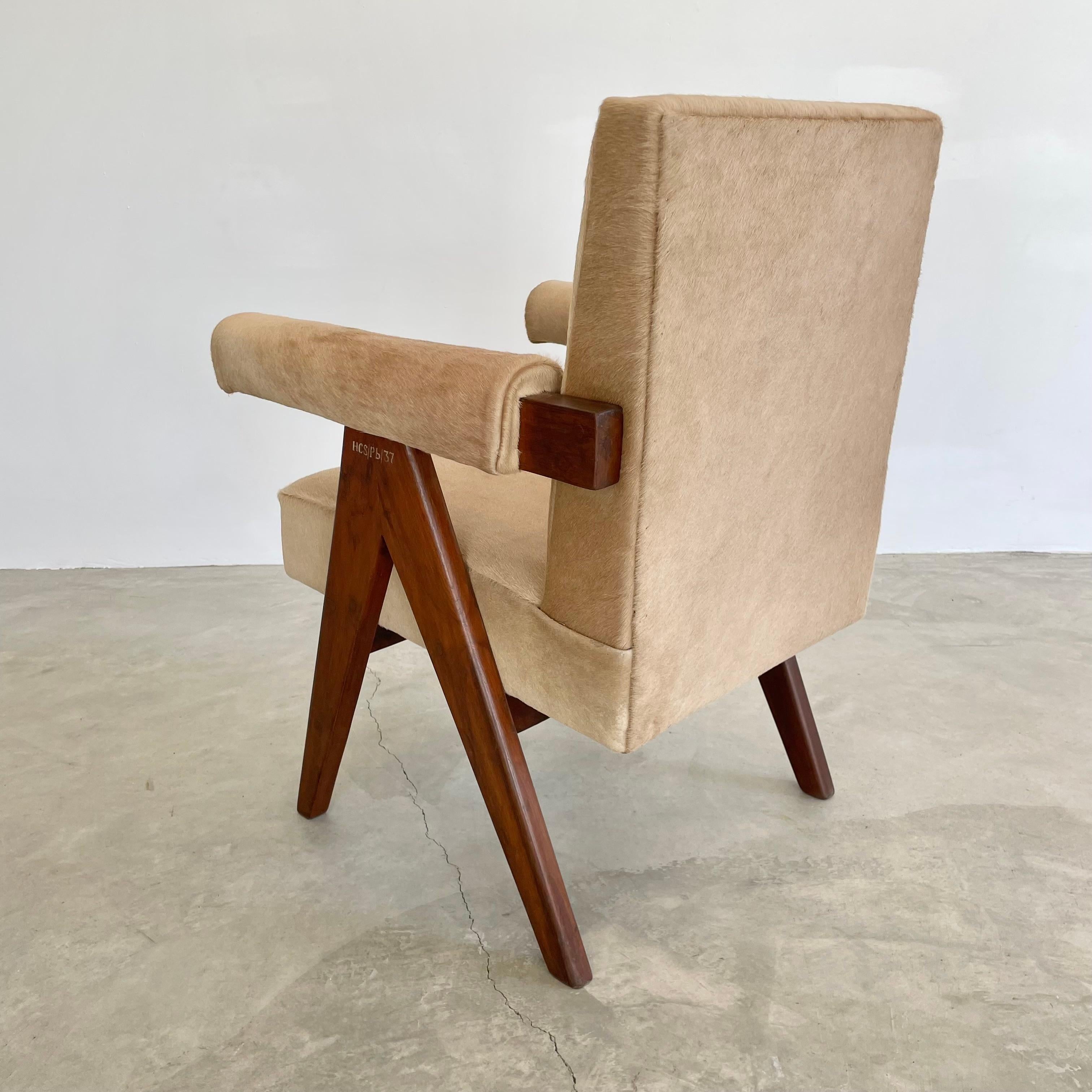 Pierre Jeanneret Senate Chair in Cowhide, 1950s Chandigargh For Sale 10