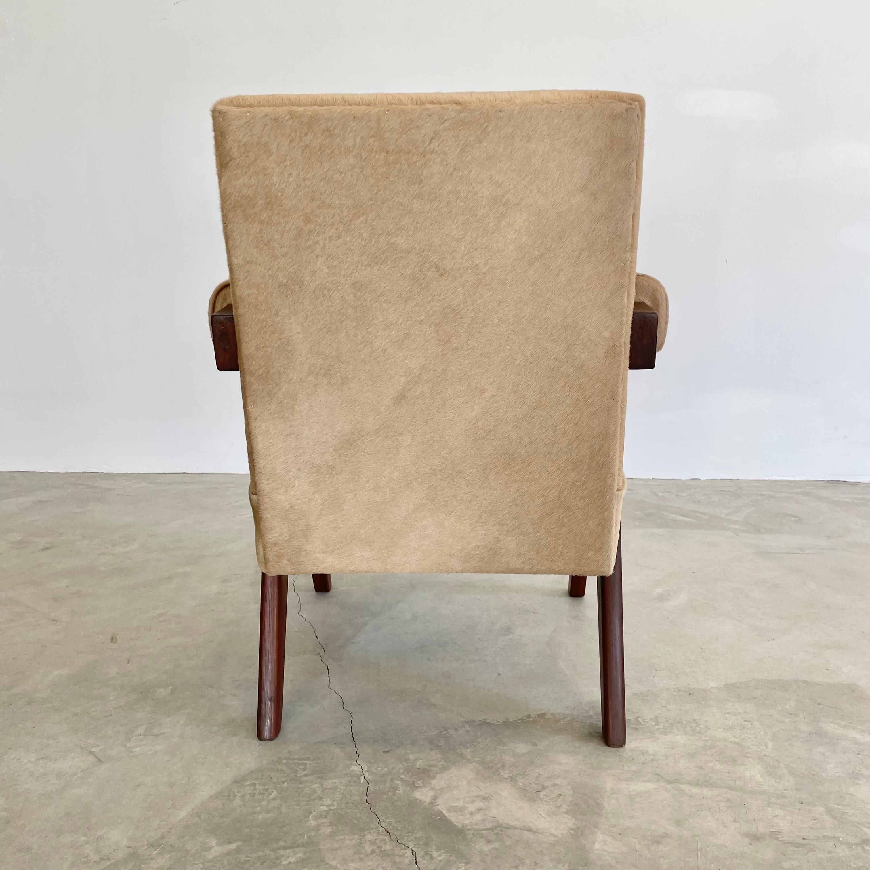 Pierre Jeanneret Senate Chair in Cowhide, 1950s Chandigargh For Sale 12