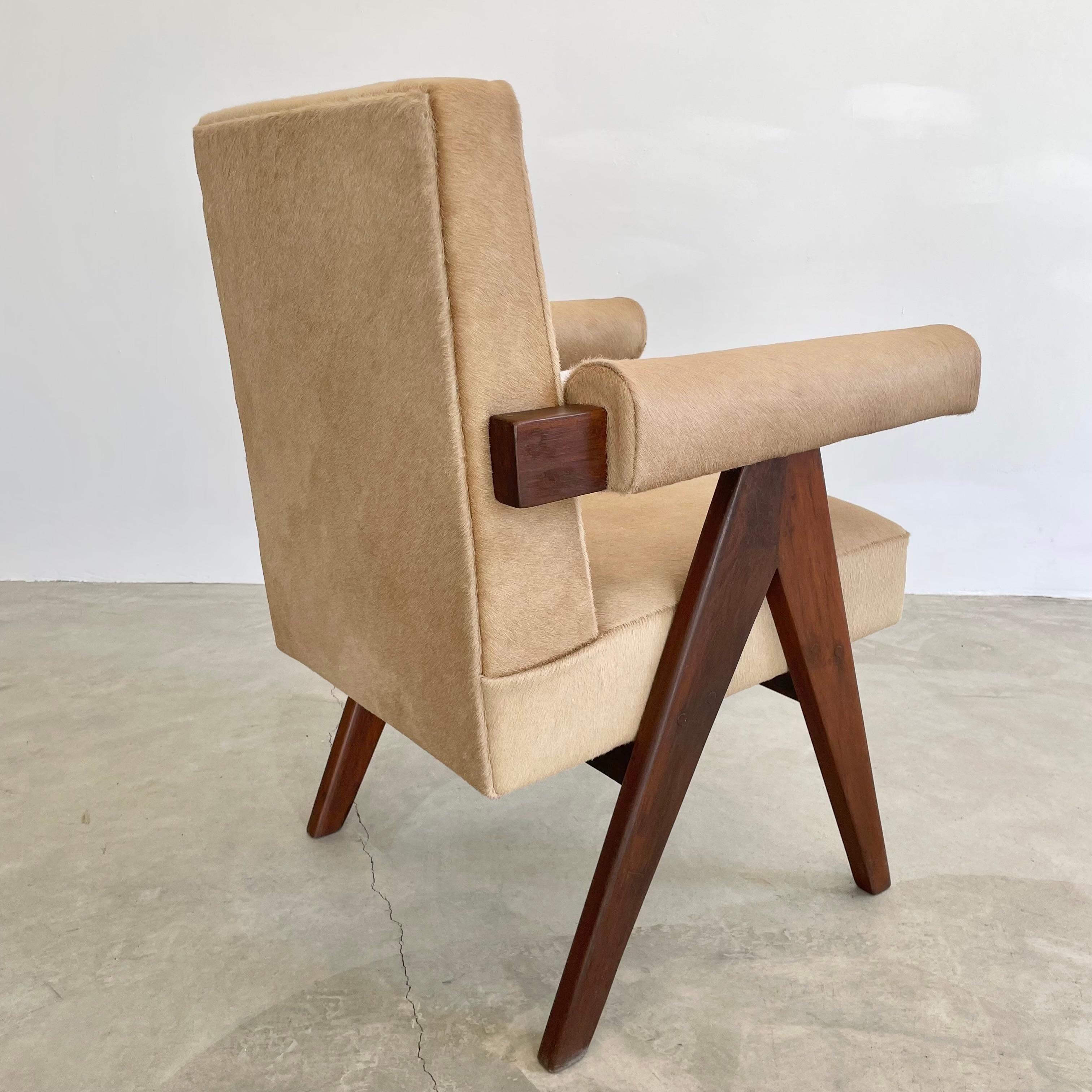 Pierre Jeanneret Senate Chair in Cowhide, 1950s Chandigargh For Sale 12