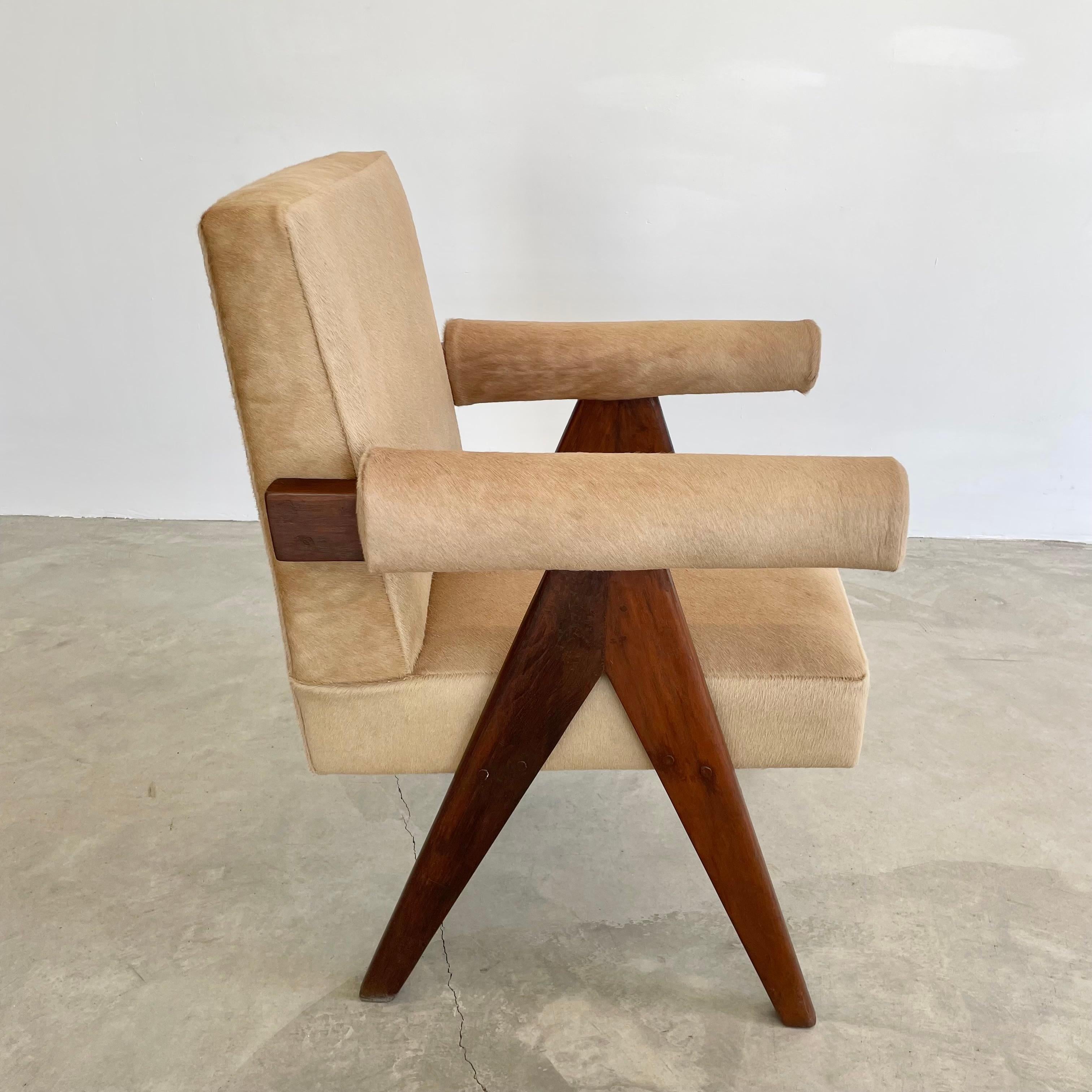 Pierre Jeanneret Senate Chair in Cowhide, 1950s Chandigargh For Sale 13