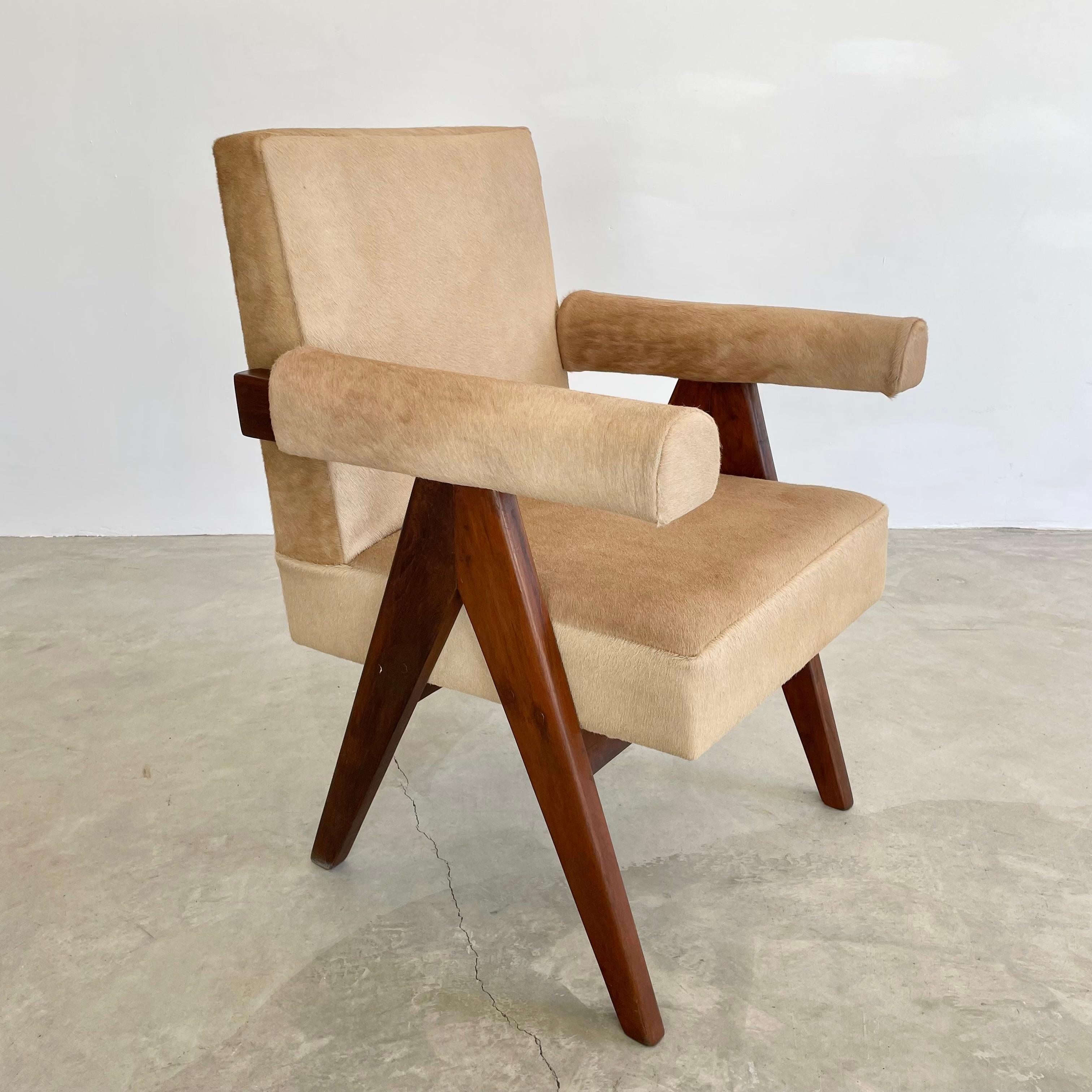 Chaise sénatoriale Pierre Jeanneret en peau de vache, années 1950 Chandigargh en vente 14