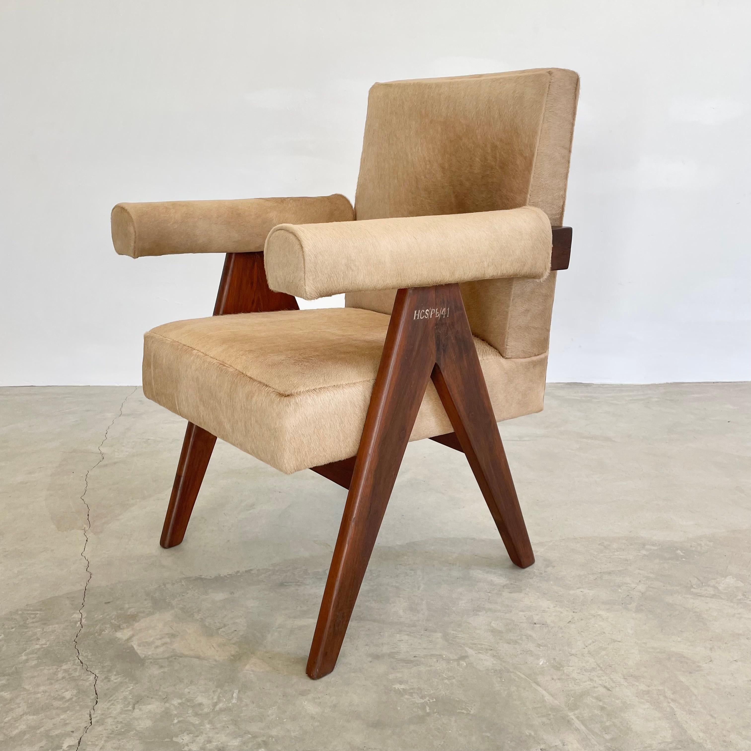 Indien Chaise sénatoriale Pierre Jeanneret en peau de vache, années 1950 Chandigargh en vente