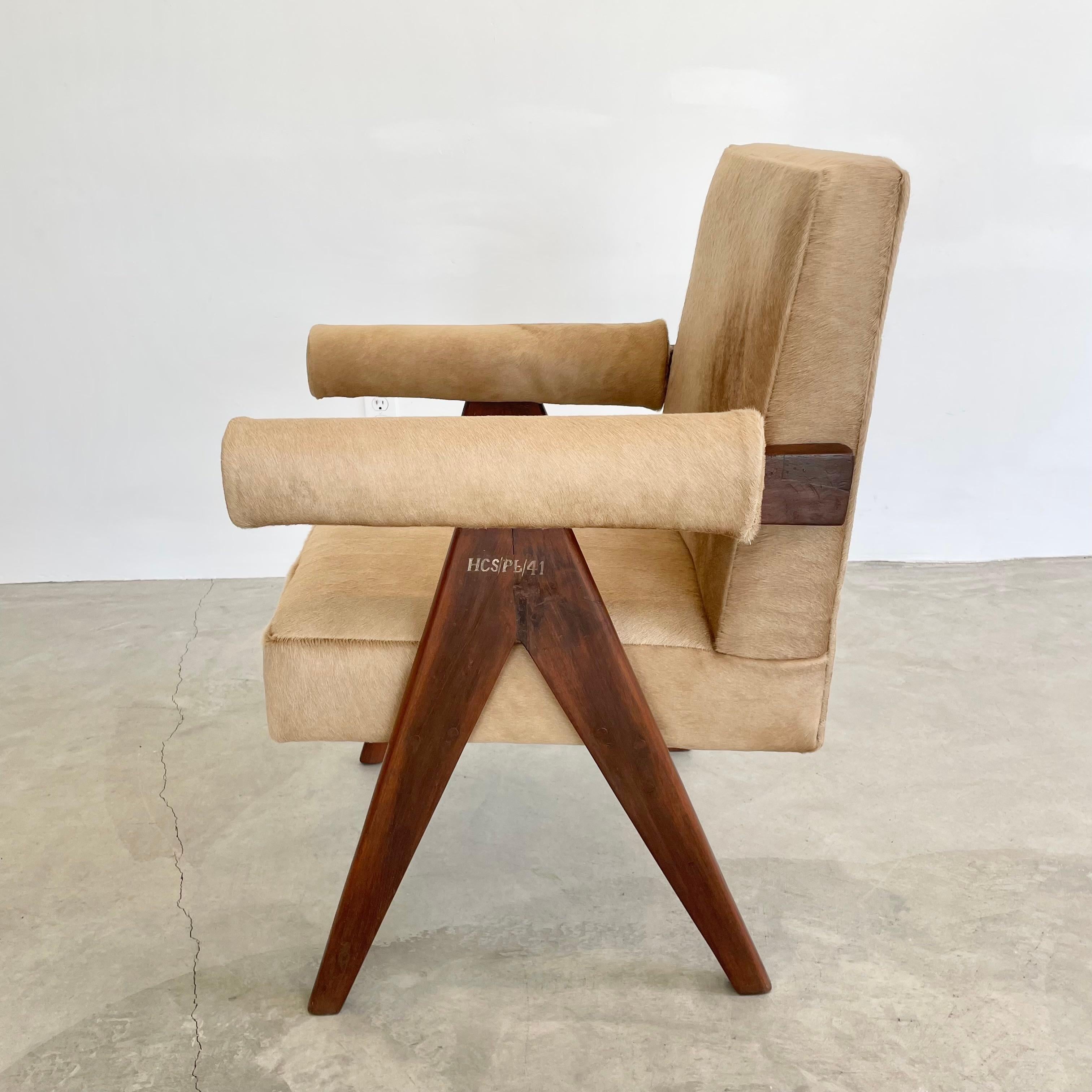 Pierre Jeanneret Senate Chair in Cowhide, 1950s Chandigargh In Excellent Condition For Sale In Los Angeles, CA