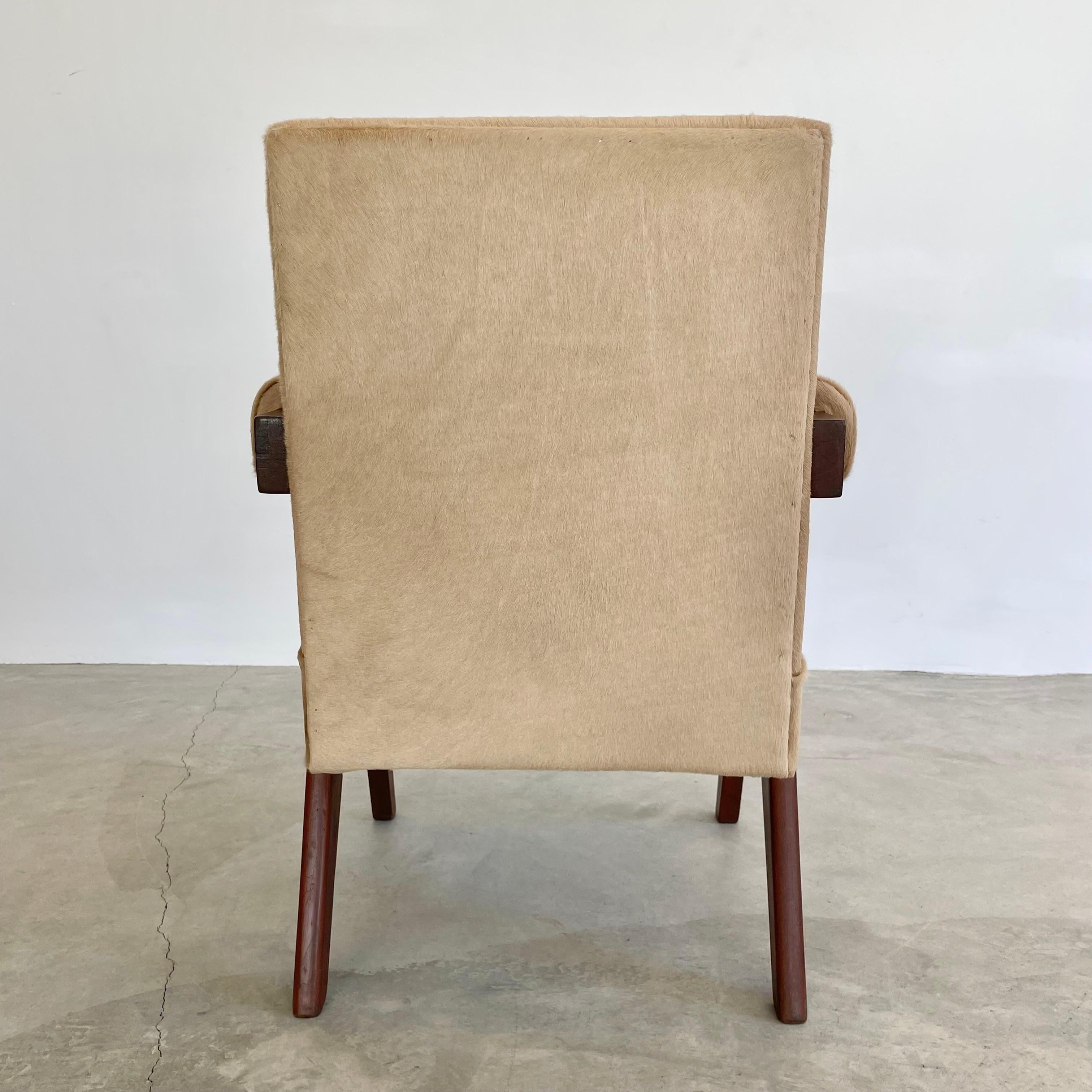 Cuir de vache Chaise sénatoriale Pierre Jeanneret en peau de vache, années 1950 Chandigargh en vente