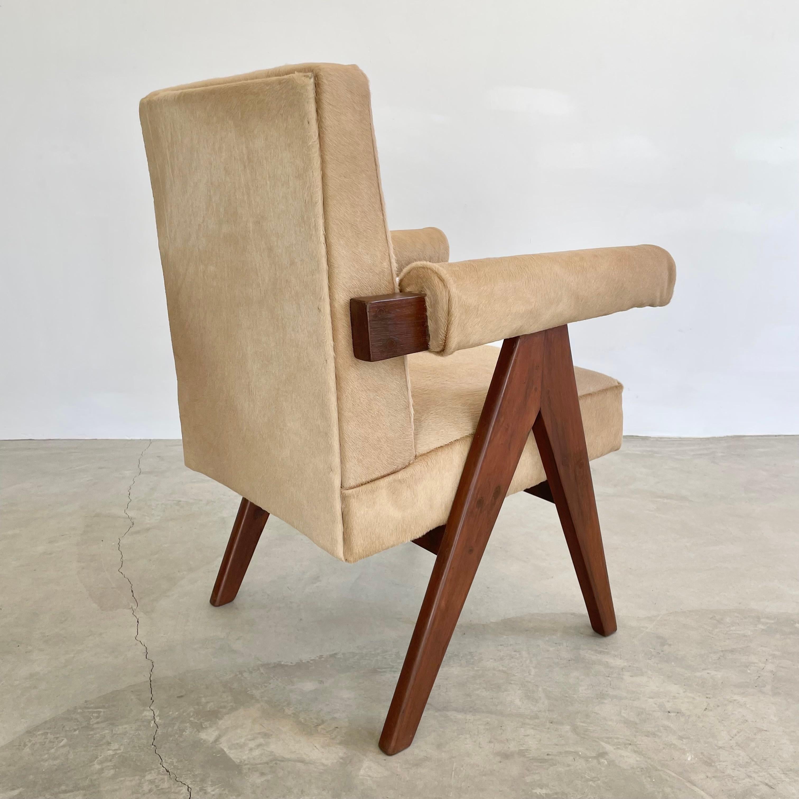 Pierre Jeanneret Senate Chair in Cowhide, 1950s Chandigargh For Sale 1