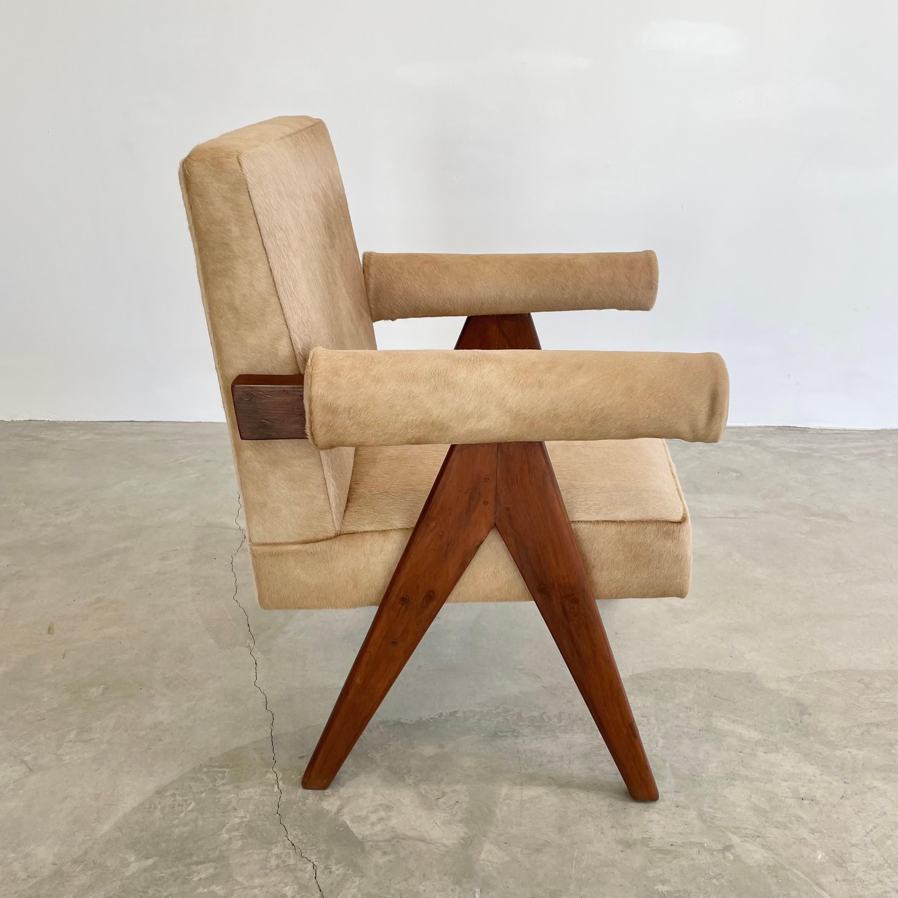 Pierre Jeanneret Senate Chair in Cowhide, 1950s Chandigargh For Sale 2
