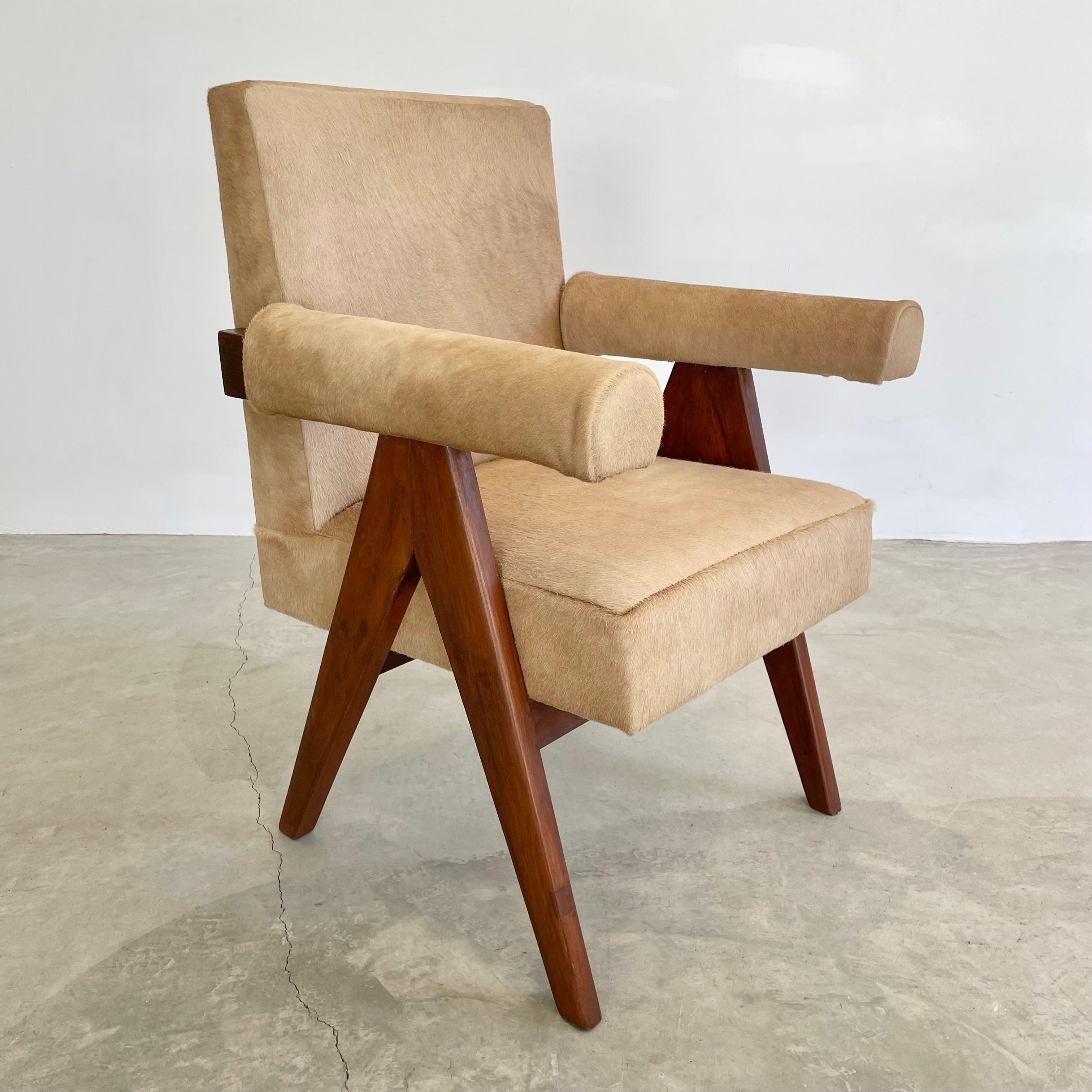 Pierre Jeanneret Senate Chair in Cowhide, 1950s Chandigargh For Sale 4