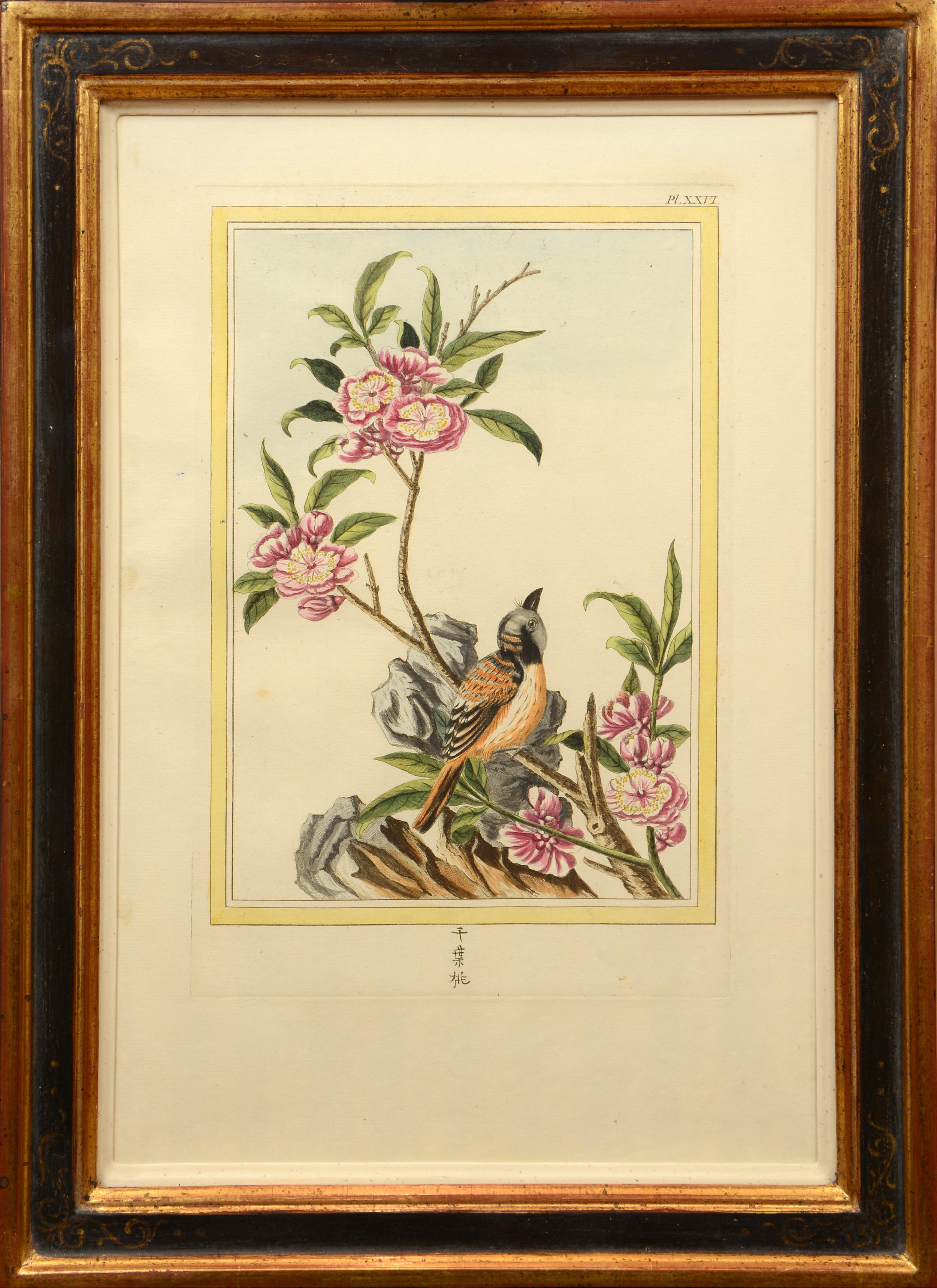 Les Fleurs les Plus Belles et Les Plus Curieuses: Set of Twelve Chinese Flowers - Naturalistic Print by Pierre Joseph Buchoz