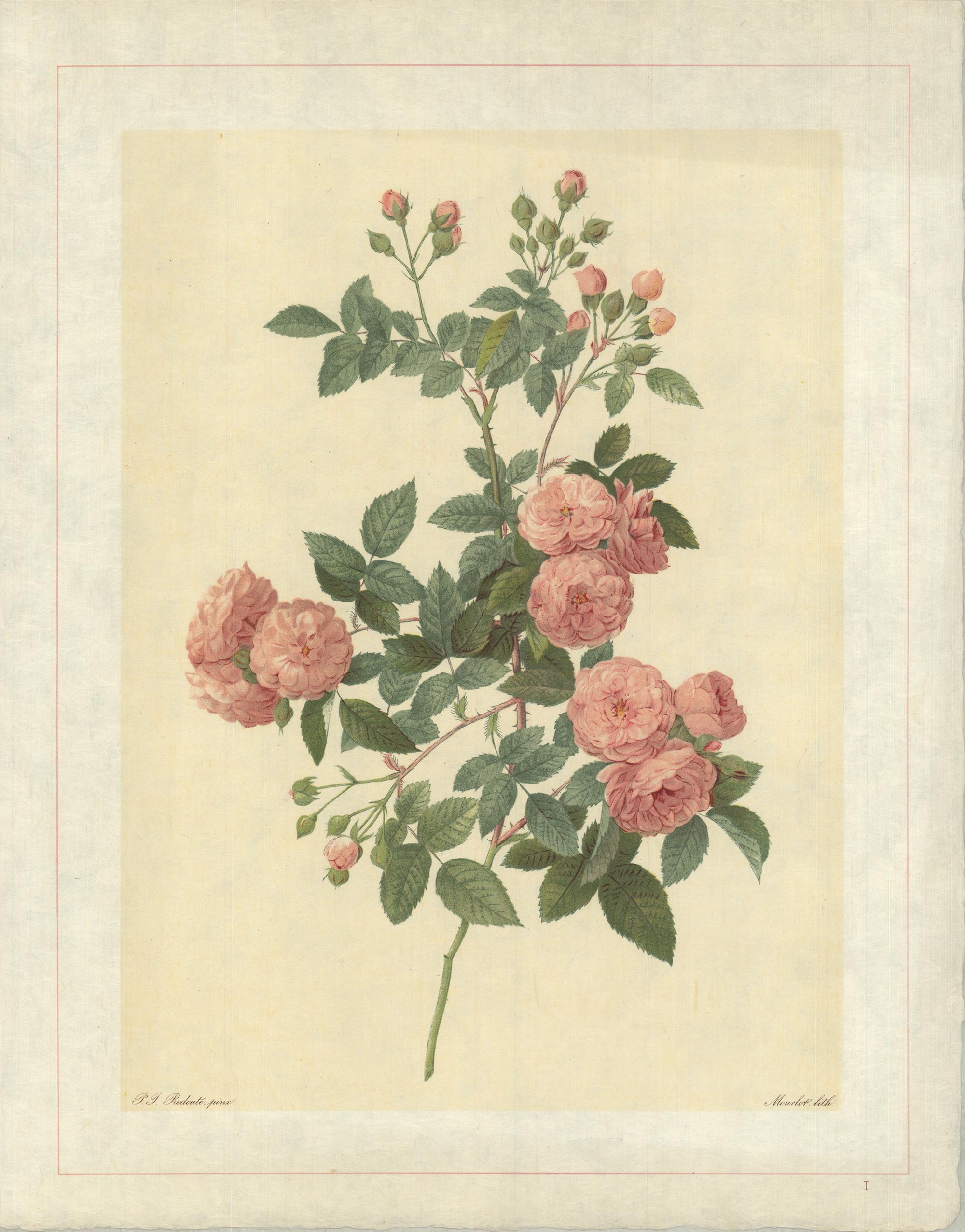 Pierre-Joseph Redouté Print - 1938 Pierre-Joseph Redoute 'Rosa Multiflora Carnea' Lithograph 