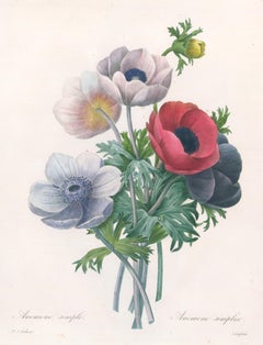 Anemone Bouquet