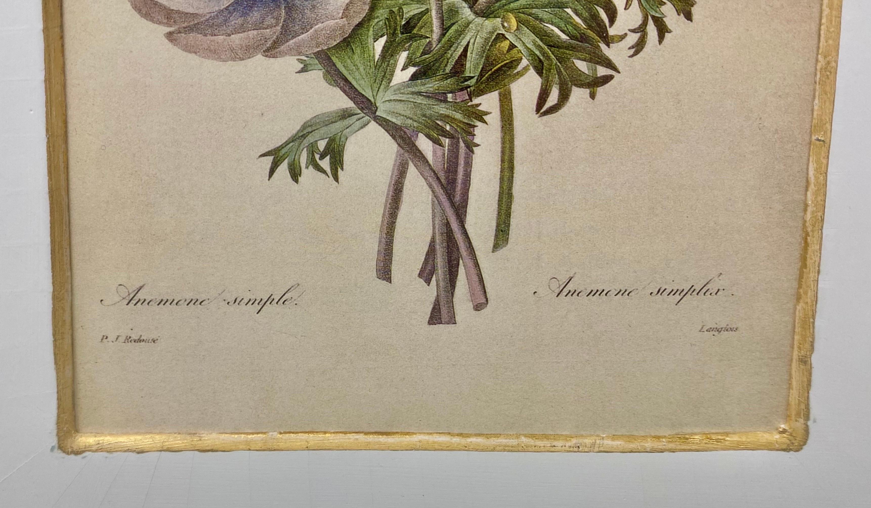 Pierre-Joseph Redoute Simple et Bouquet de Camelias, Narcisses et Pensees en vente 6