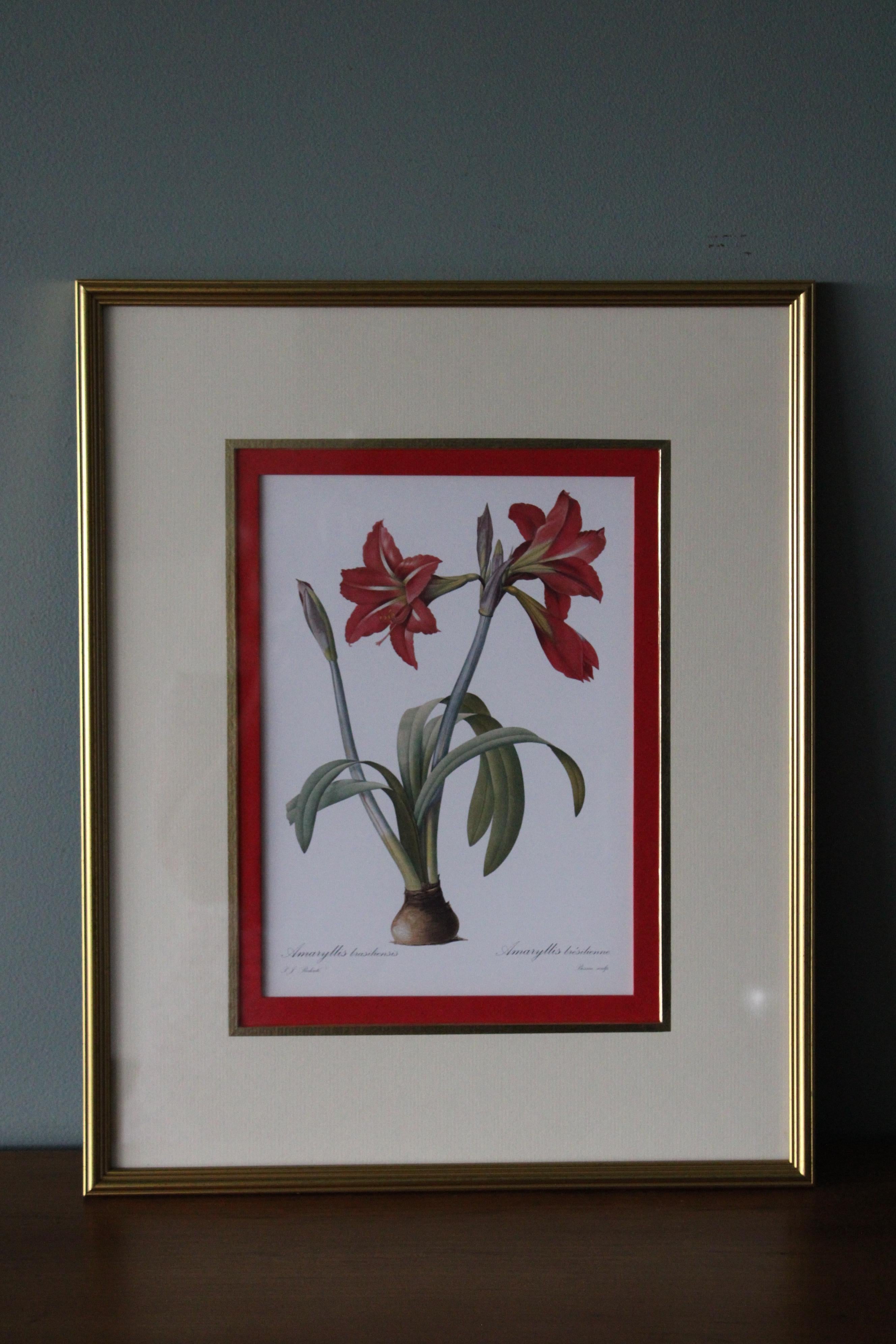 Ensemble de 2 lithographies florales Redoute dans de nouveaux cadres de couleur or 10