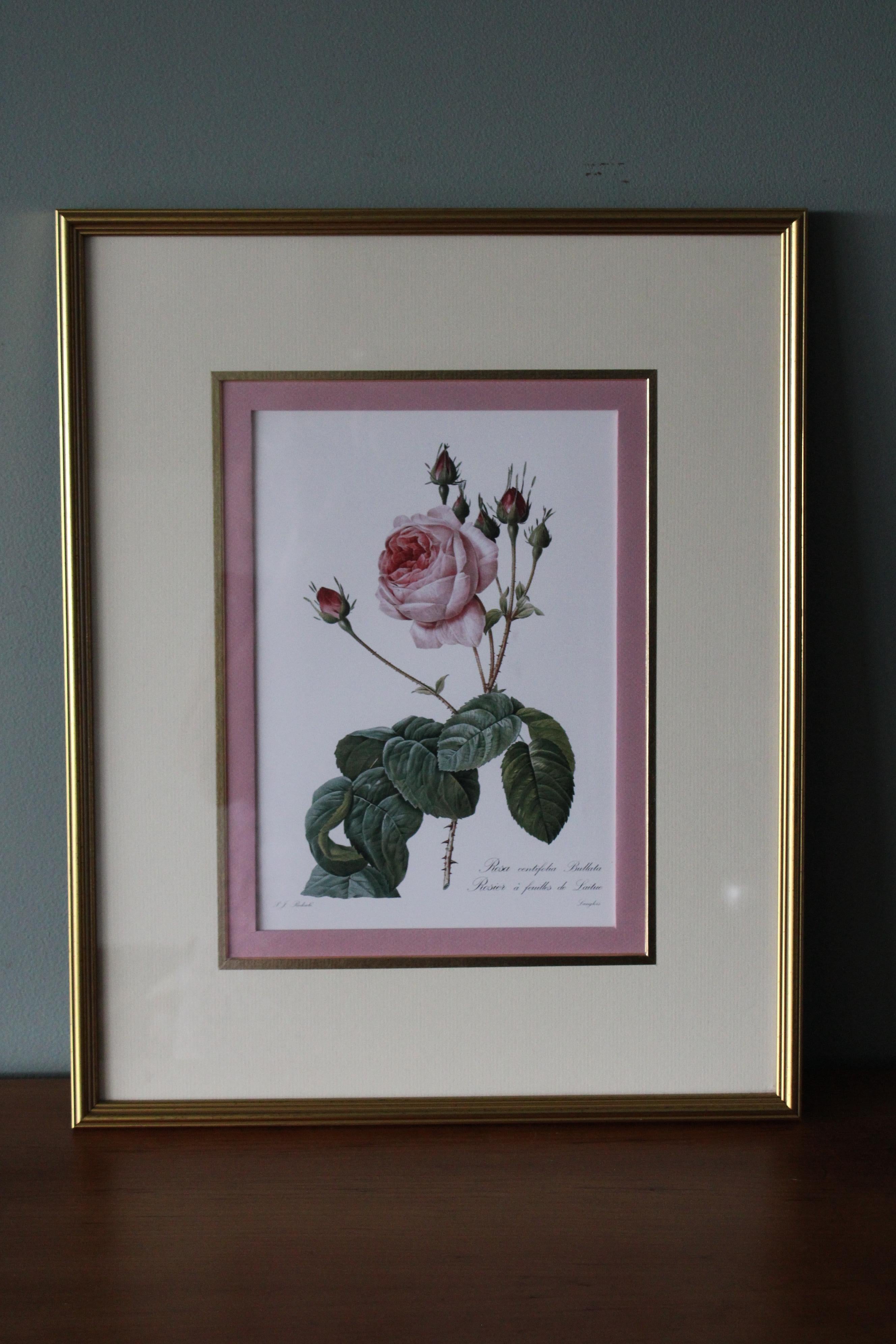 Set von 2 Vintage-Blumenlithografien aus Redoute in neuen goldfarbenen Rahmen mit Blumenmuster 12