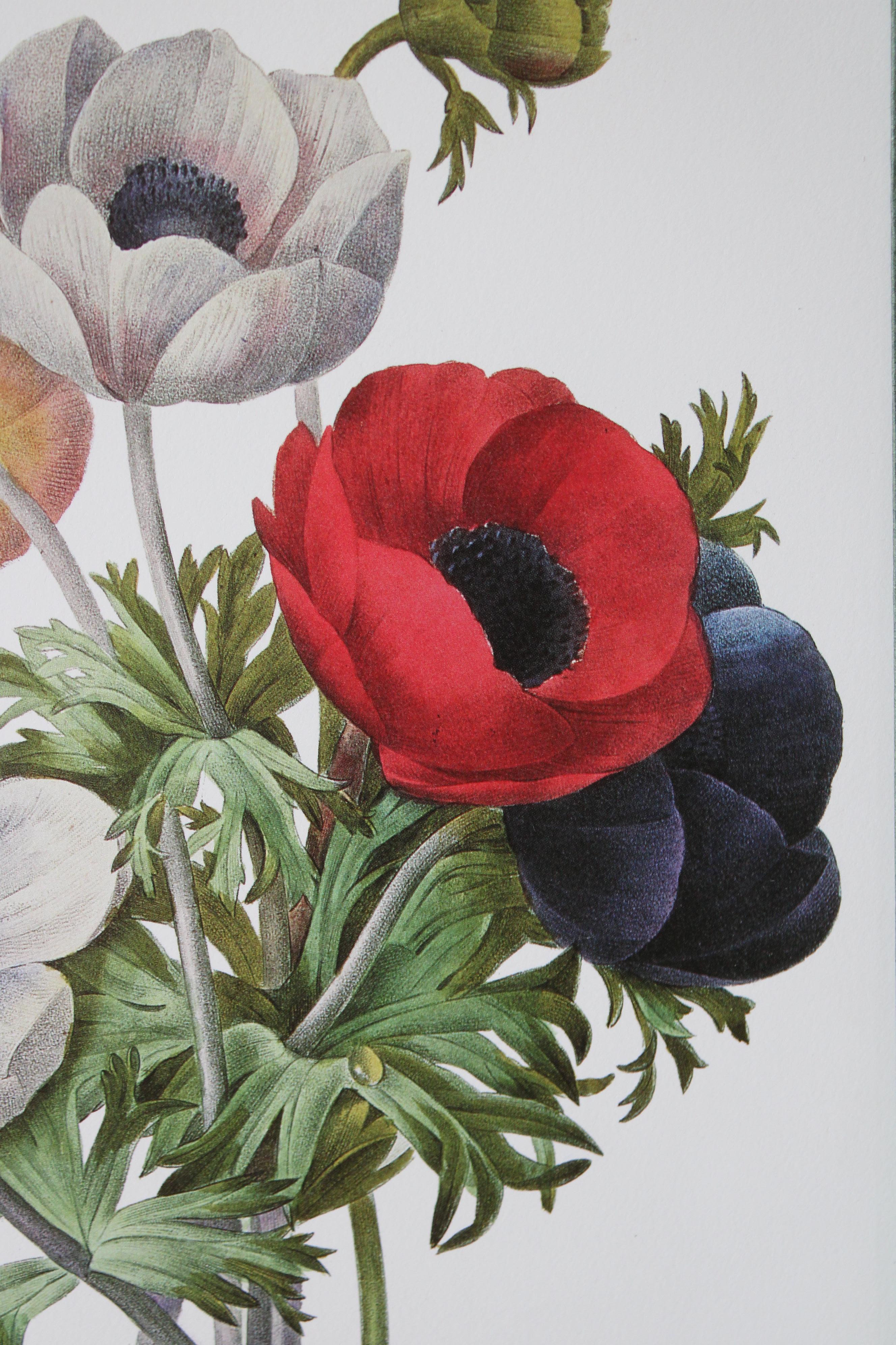 Ensemble de 2 lithographies florales Redoute dans de nouveaux cadres de couleur or - École française Print par Pierre-Joseph Redouté
