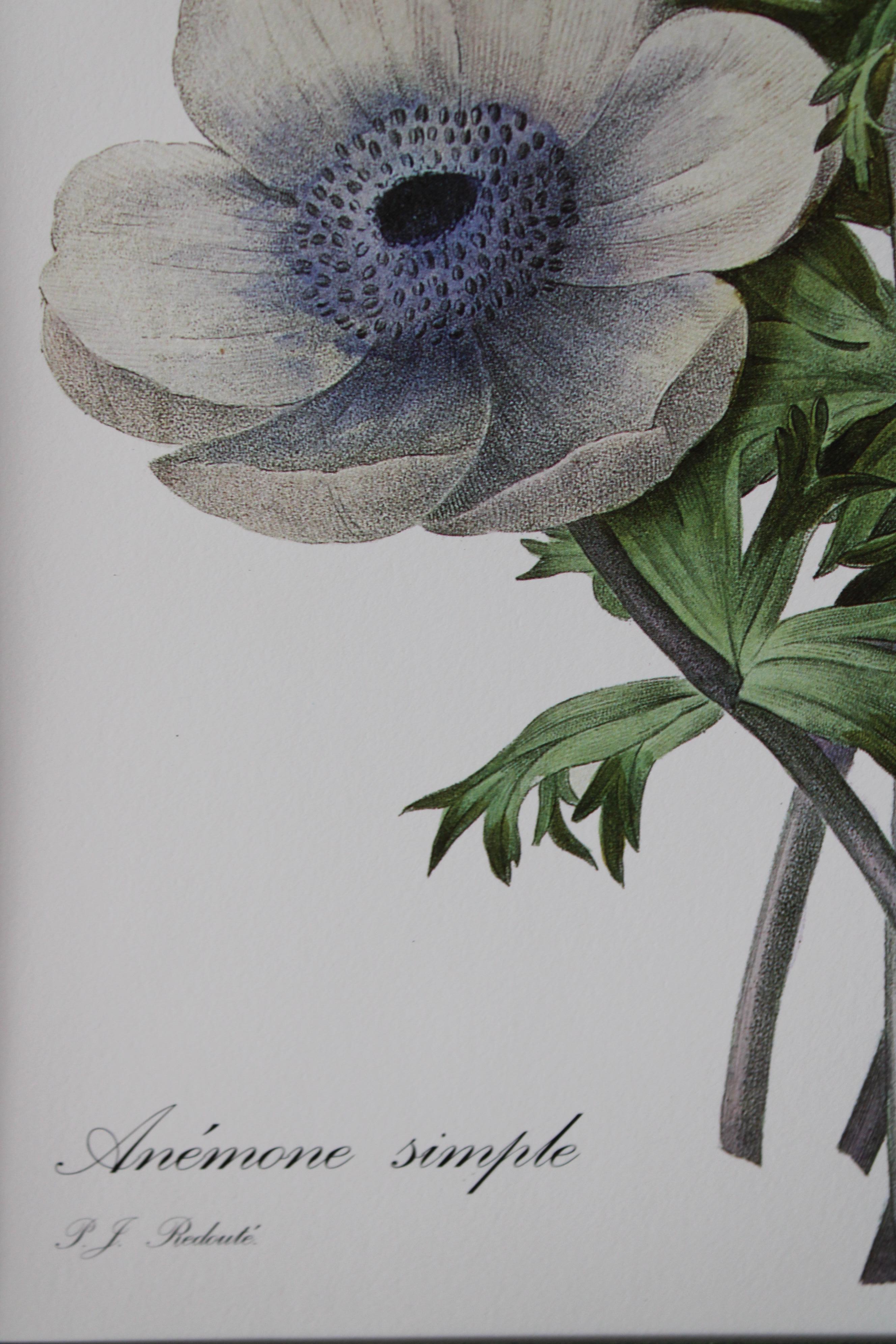 Ensemble de 2 lithographies florales Redoute dans de nouveaux cadres de couleur or 1