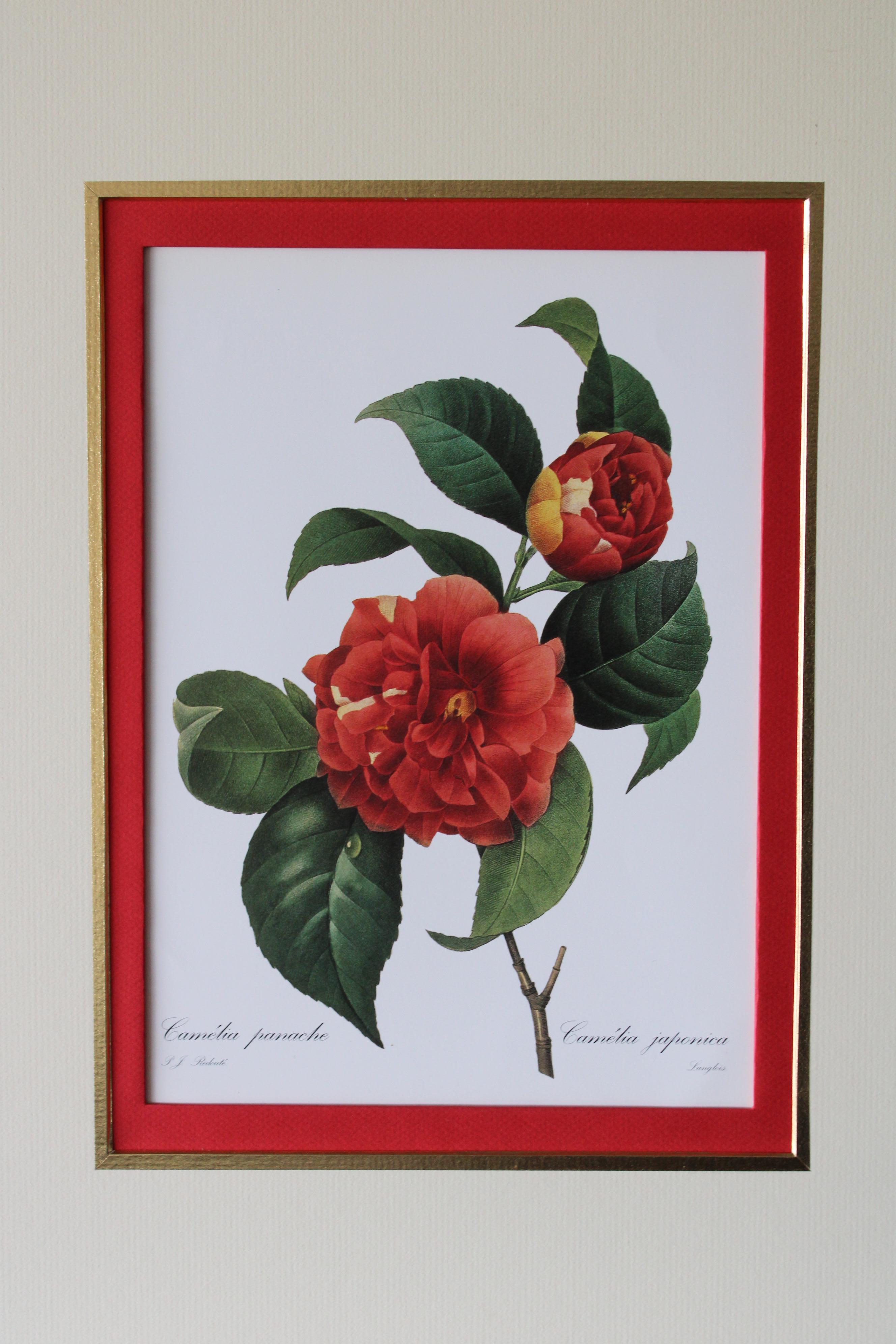 Ensemble de 2 lithographies florales Redoute dans de nouveaux cadres de couleur or 3