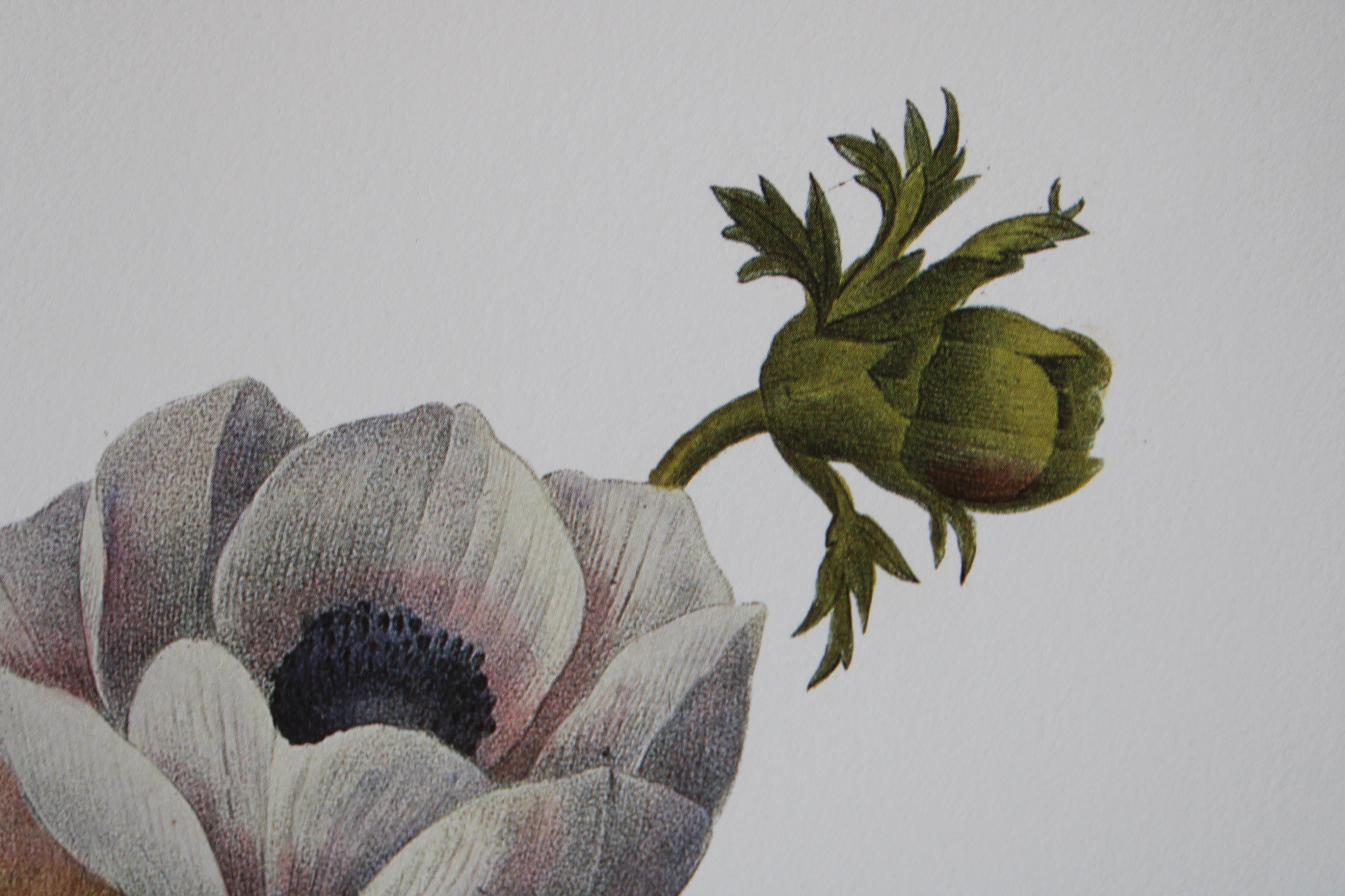 Ensemble de 2 lithographies florales Redoute dans de nouveaux cadres de couleur or 3