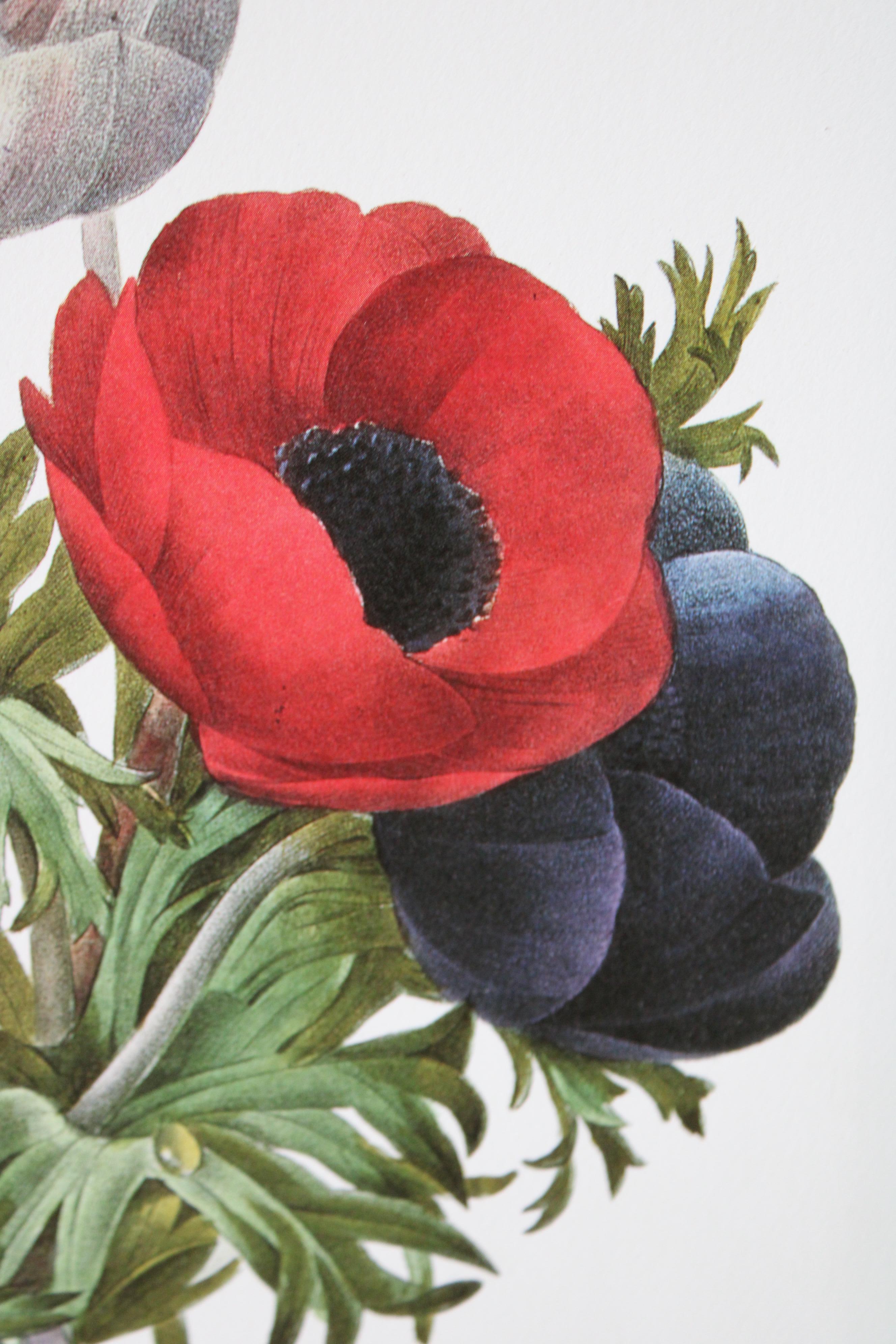 Ensemble de 2 lithographies florales Redoute dans de nouveaux cadres de couleur or 4