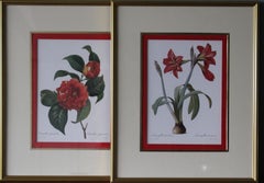 Ensemble de 2 lithographies florales Redoute dans de nouveaux cadres de couleur or