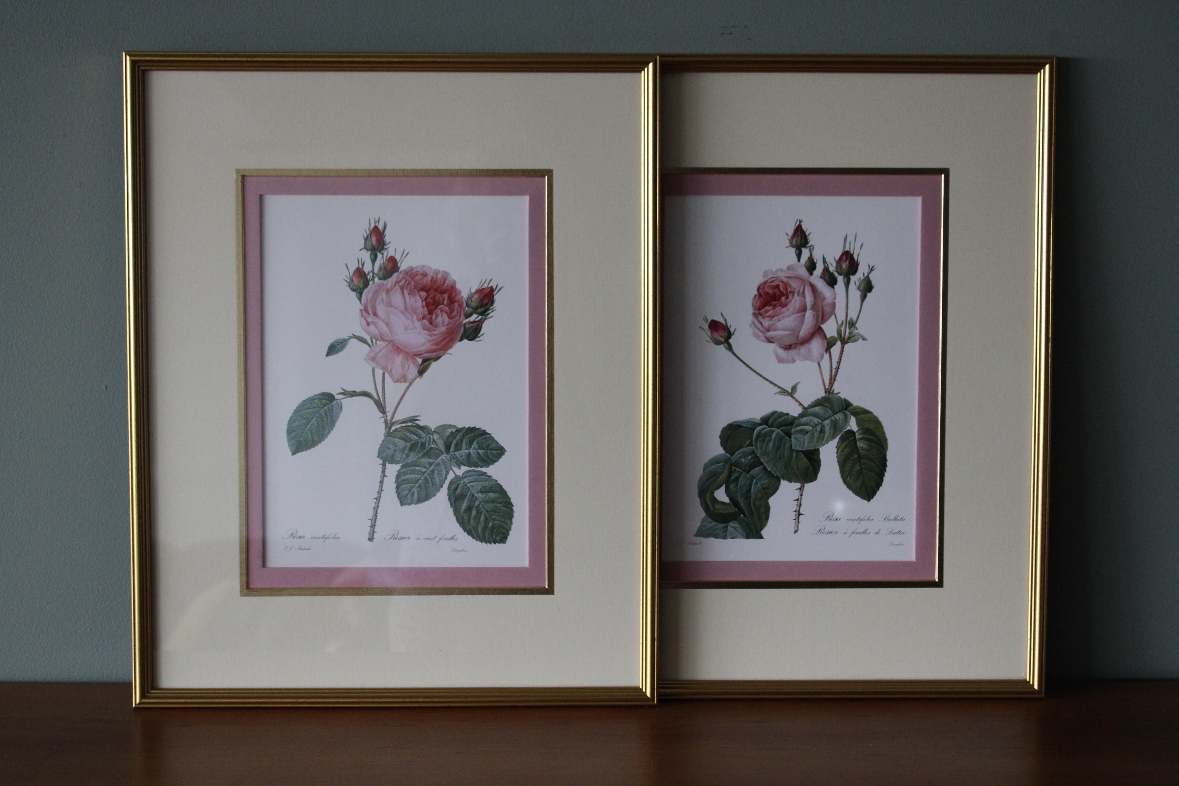 Pierre-Joseph Redouté Still-Life Print – Set von 2 Vintage-Blumenlithografien aus Redoute in neuen goldfarbenen Rahmen mit Blumenmuster