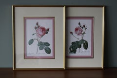 Set of 2 vintage Redoute floral lithographs in new gold coloured frames