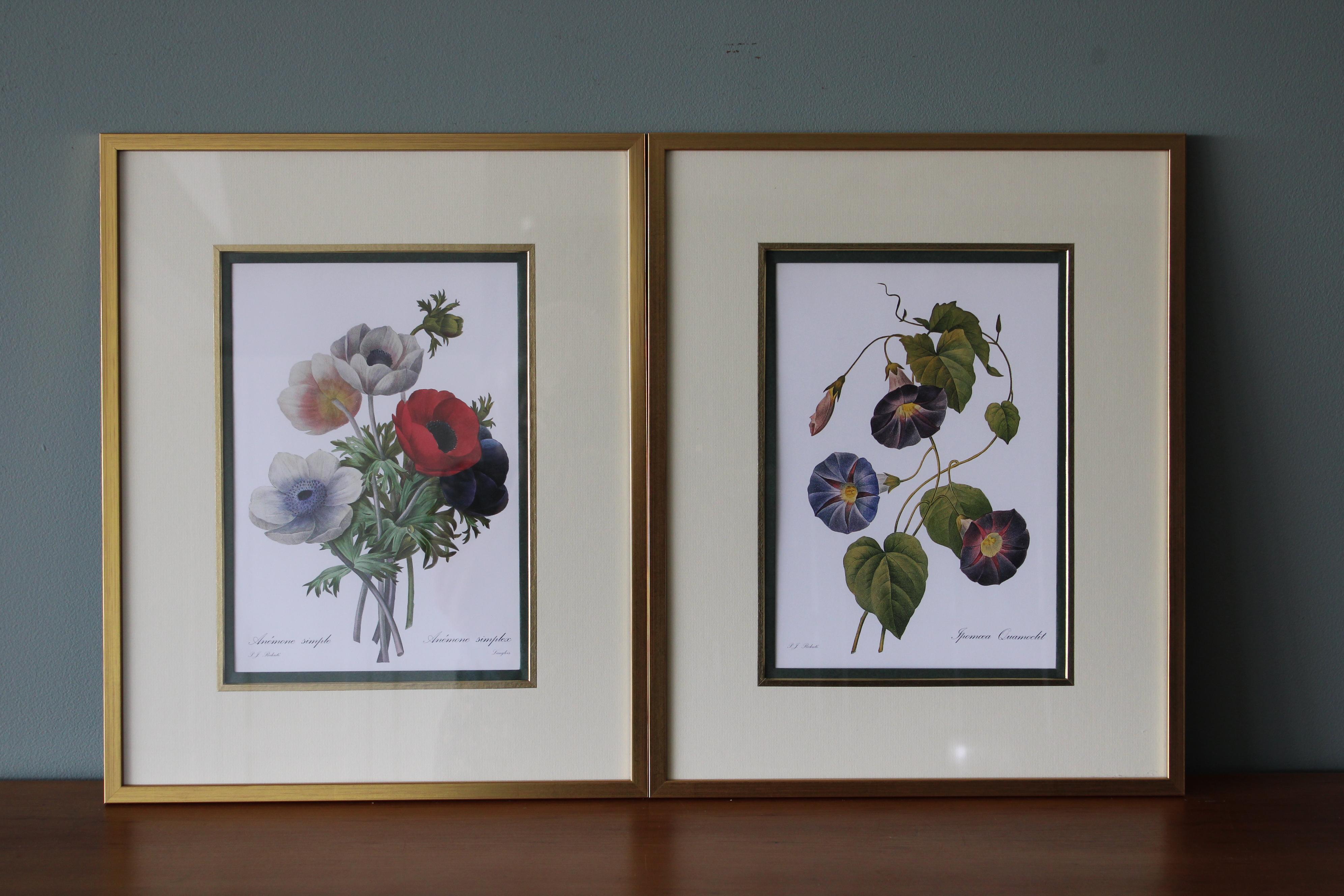 Still-Life Print Pierre-Joseph Redouté - Ensemble de 2 lithographies florales Redoute dans de nouveaux cadres de couleur or