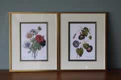 Ensemble de 2 lithographies florales Redoute dans de nouveaux cadres de couleur or