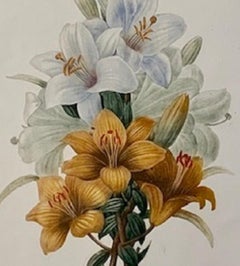 Set of Four  Bouquets by  Pierre-Joseph Redouté