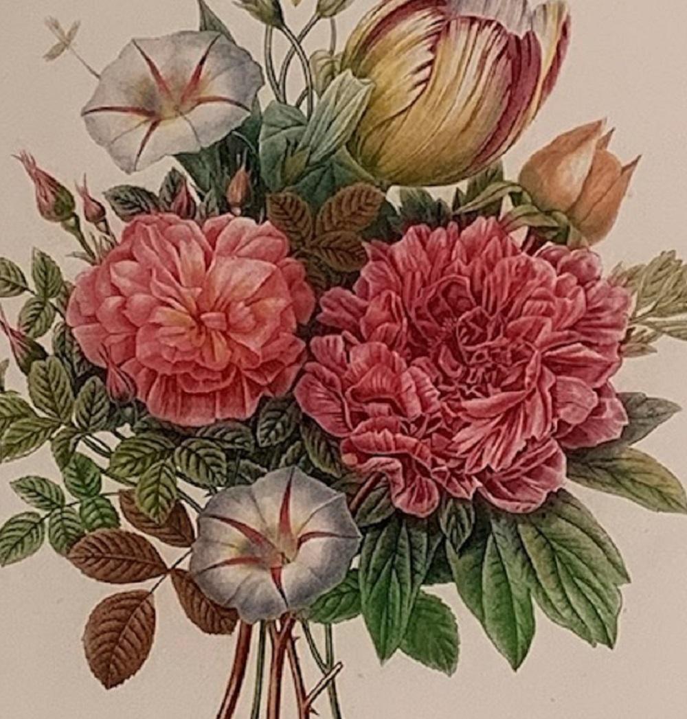 Set of Four  Bouquets by  Pierre-Joseph Redouté   1