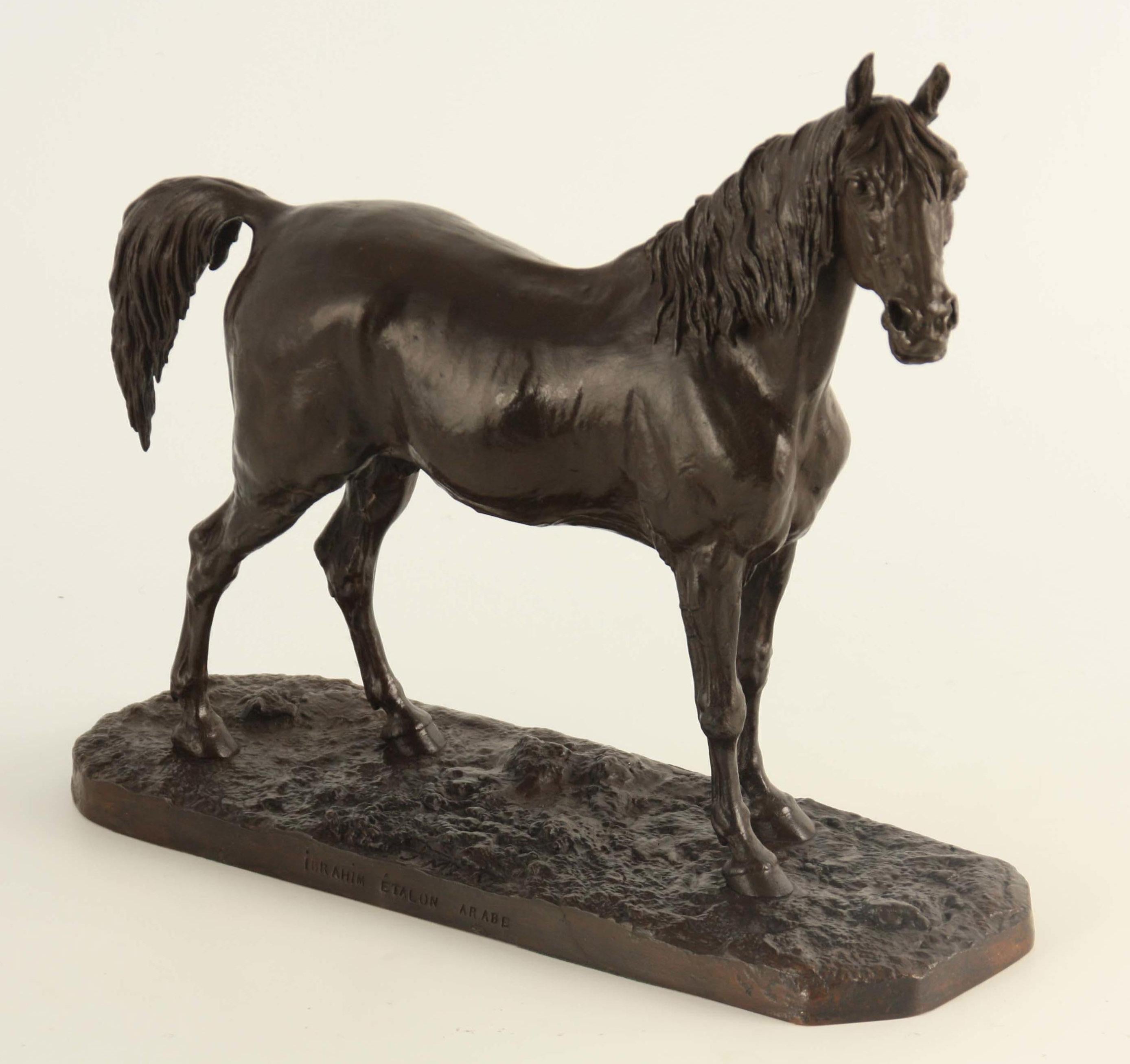 A late 19th century bronze of the Arabian Stallion 'Ibrahim' - Sculpture by Pierre Jules Mêne
