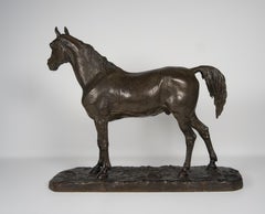 Cheval arabe (Ibrahim) N°1