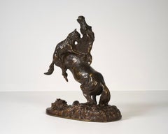 Cheval attaqué par un loup n°2