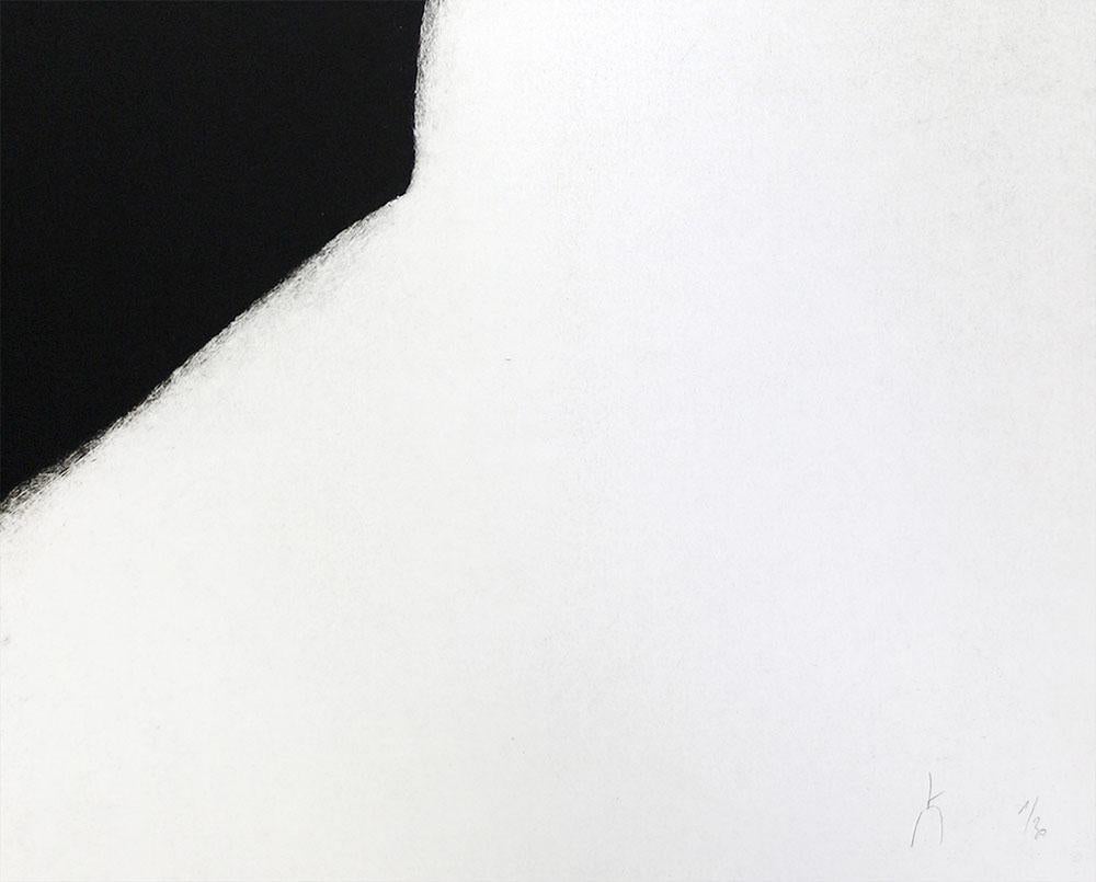 191j24011 (Abstrakter Druck) (Grau), Abstract Print, von Pierre Muckensturm