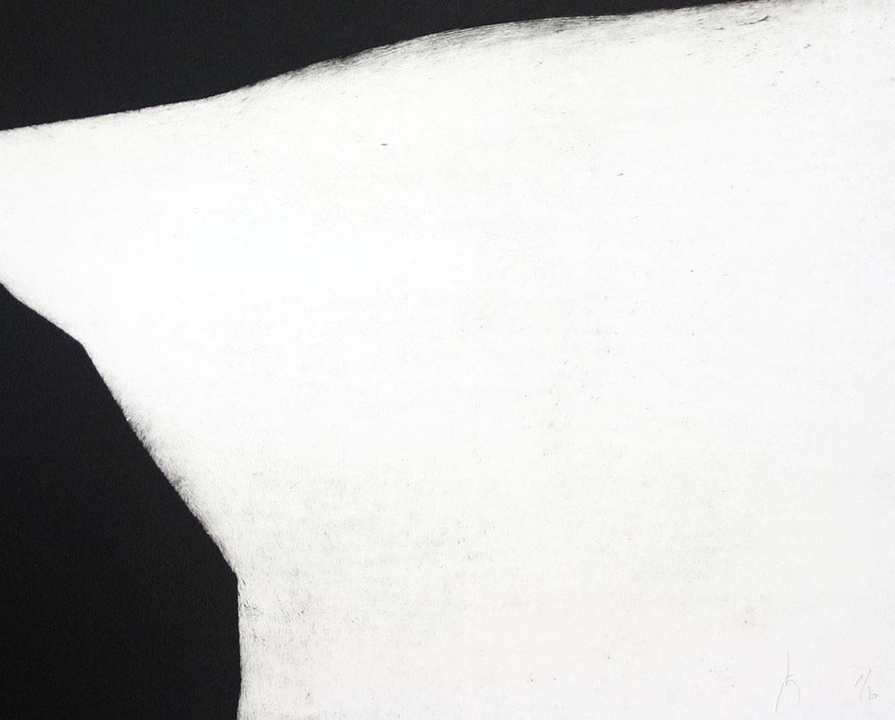 191j24017 (Abstrakter Druck) (Grau), Abstract Print, von Pierre Muckensturm